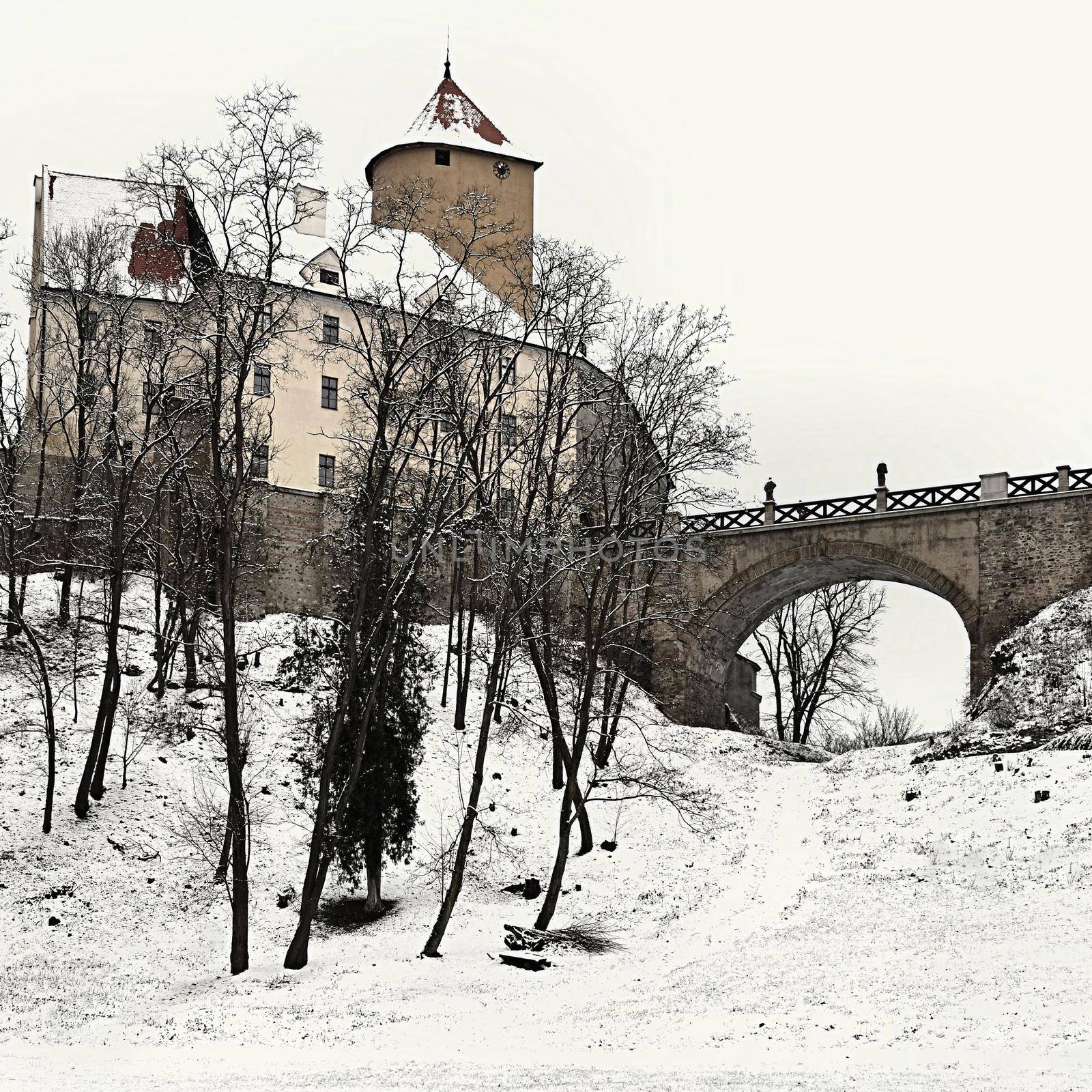 Winter landscape with a beautiful Gothic castle Veveri. Brno city - Czech Republic - Central Europe. 