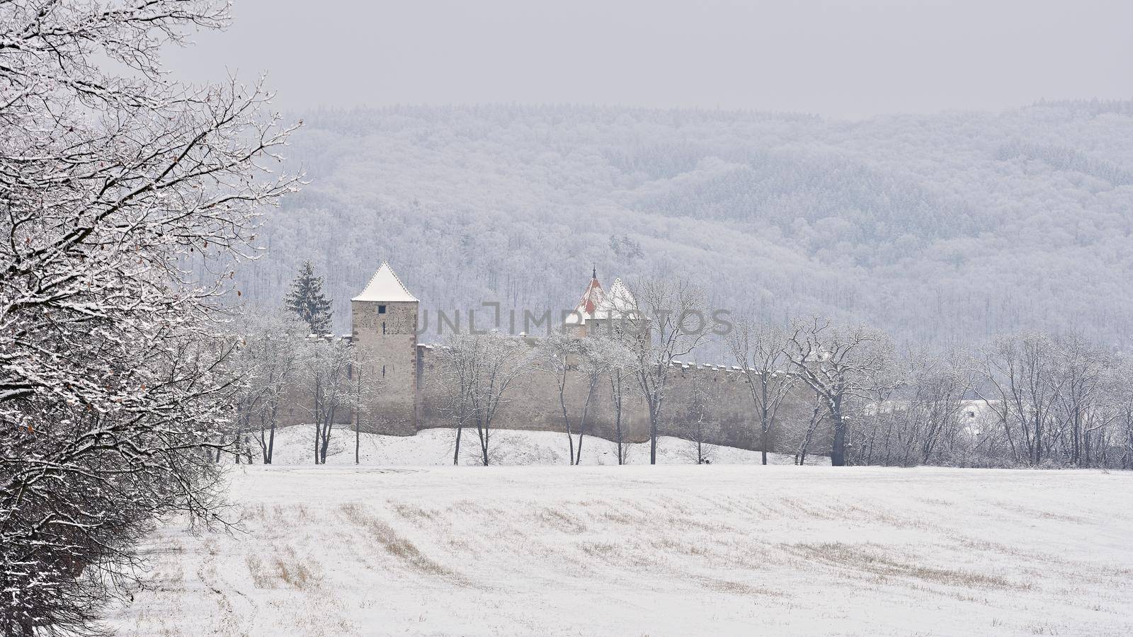 Winter landscape with a beautiful Gothic castle Veveri. Brno city - Czech Republic - Central Europe. 