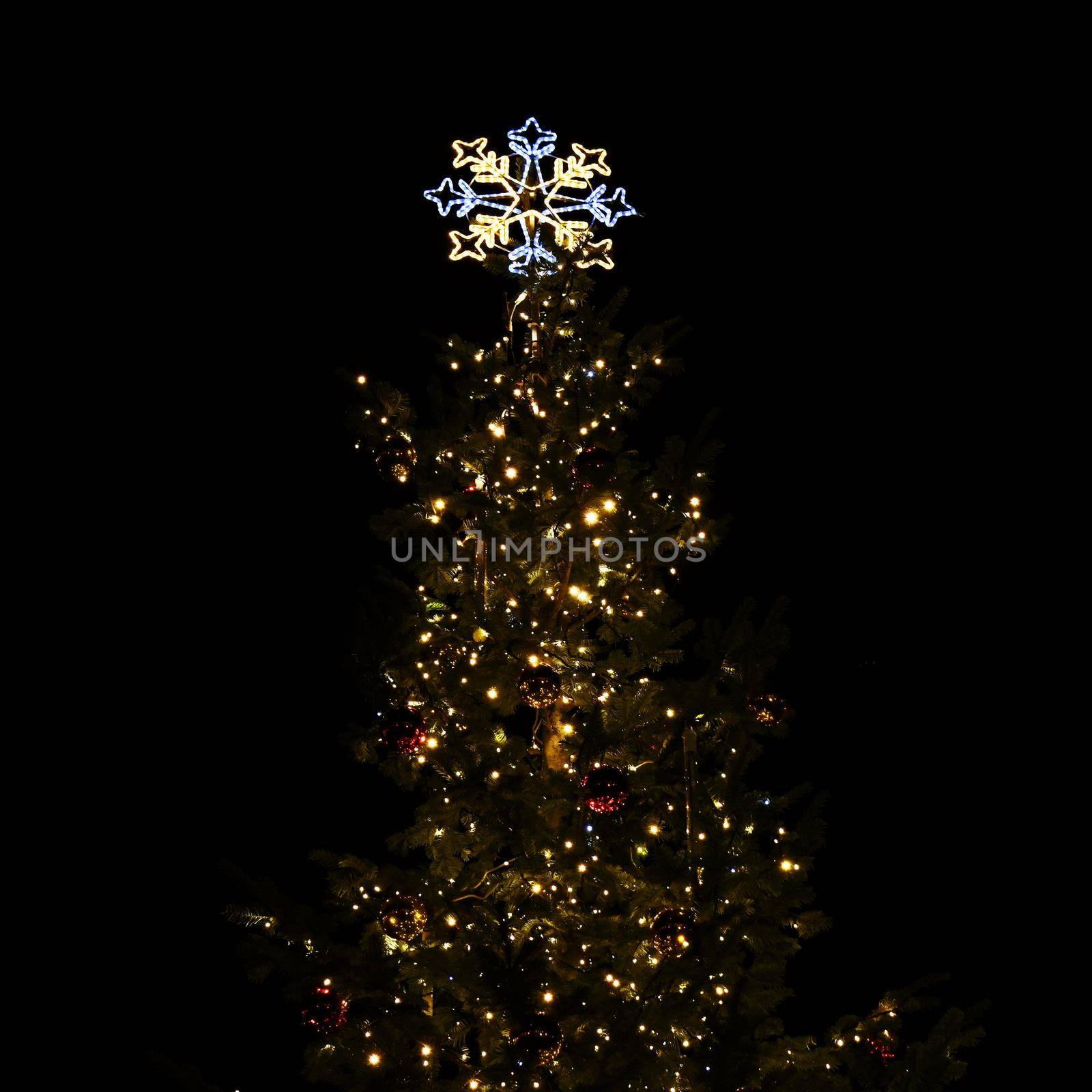 Beautiful Christmas tree at night.