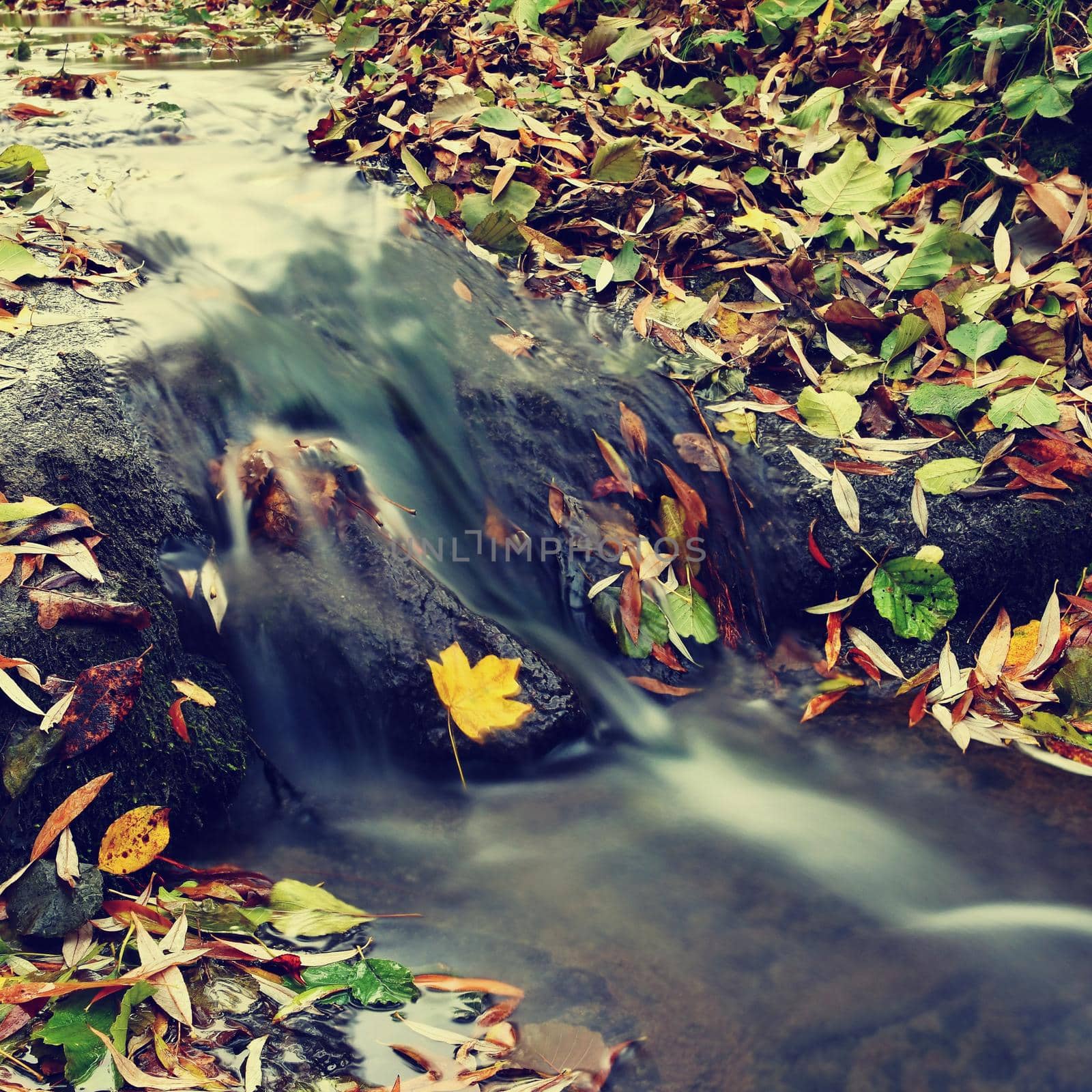 Beautiful autumn nature with a stream. Autumn leaves. Natural seasonal colored background by Montypeter