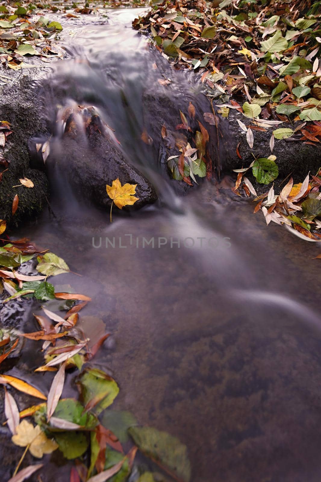 Beautiful autumn nature with a stream. Autumn leaves. Natural seasonal colored background by Montypeter