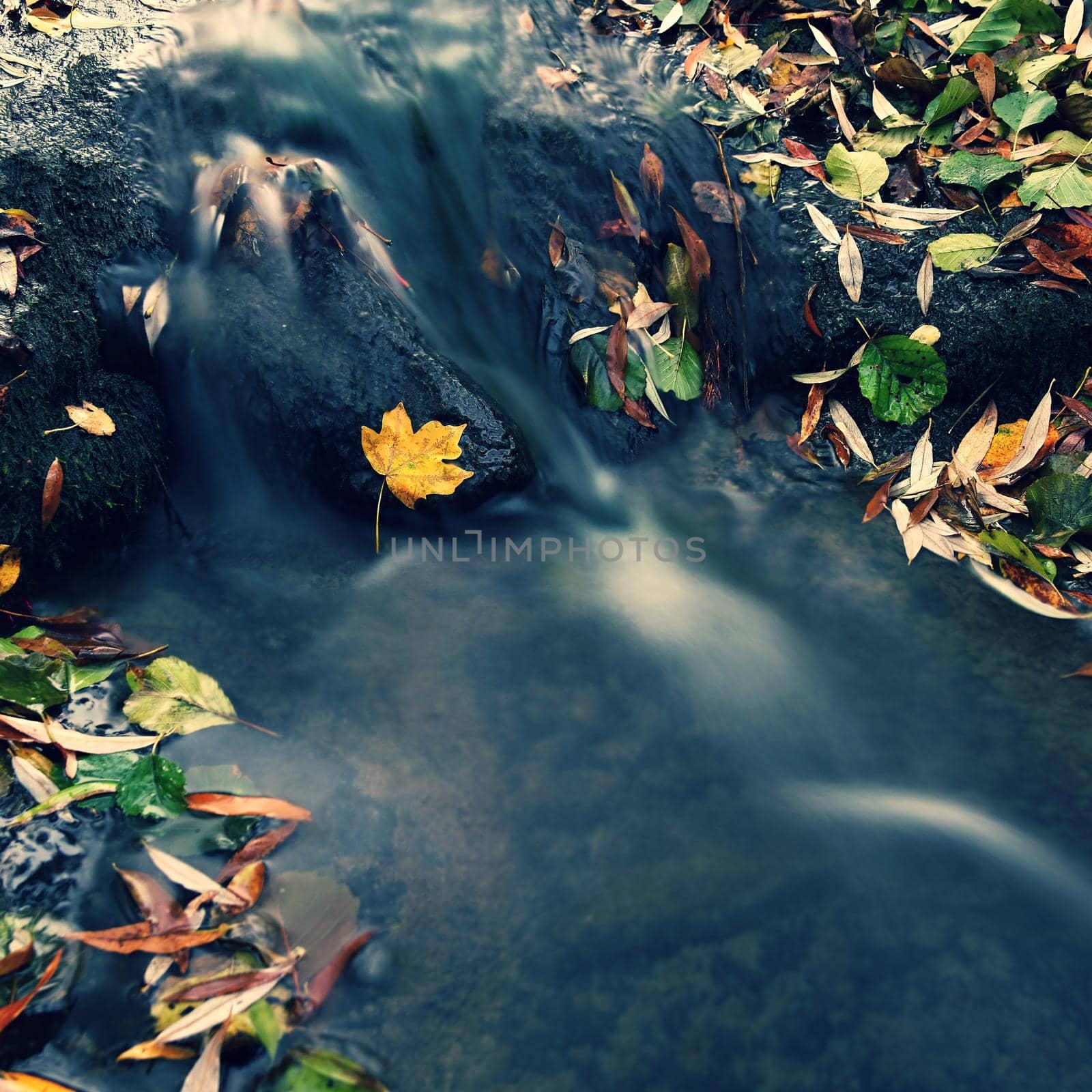 Beautiful autumn nature with a stream. Autumn leaves. Natural seasonal colored background by Montypeter