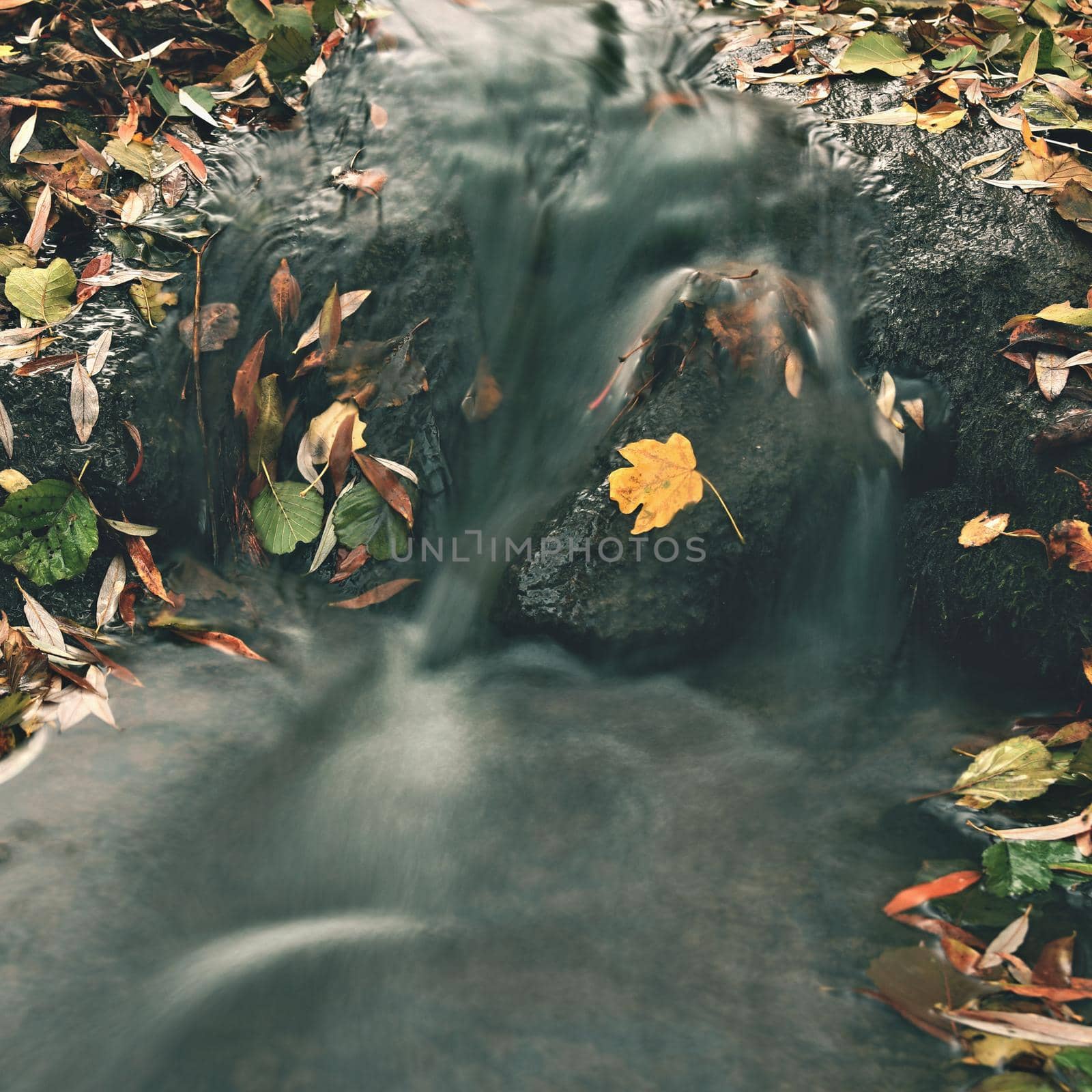 Beautiful autumn nature with a stream. Autumn leaves. Natural seasonal colored background by Montypeter