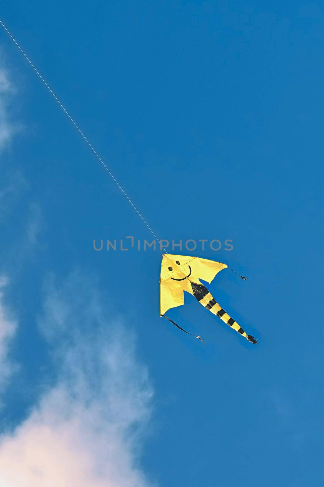 Kite flying in the beautiful autumn windy day. Blue sky background with sun and clouds. by Montypeter