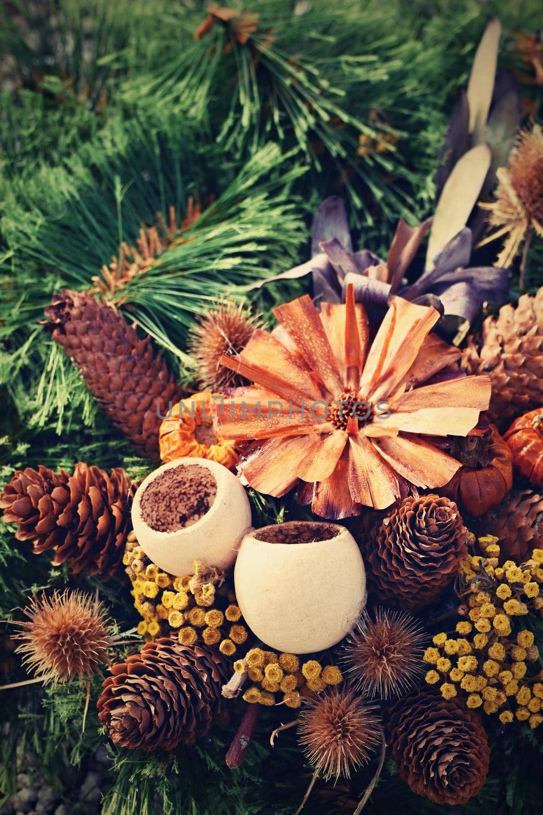 Autumn nature concept. Beautiful autumn decorations. Colorful autumn flowers at the cemetery - Halloween.