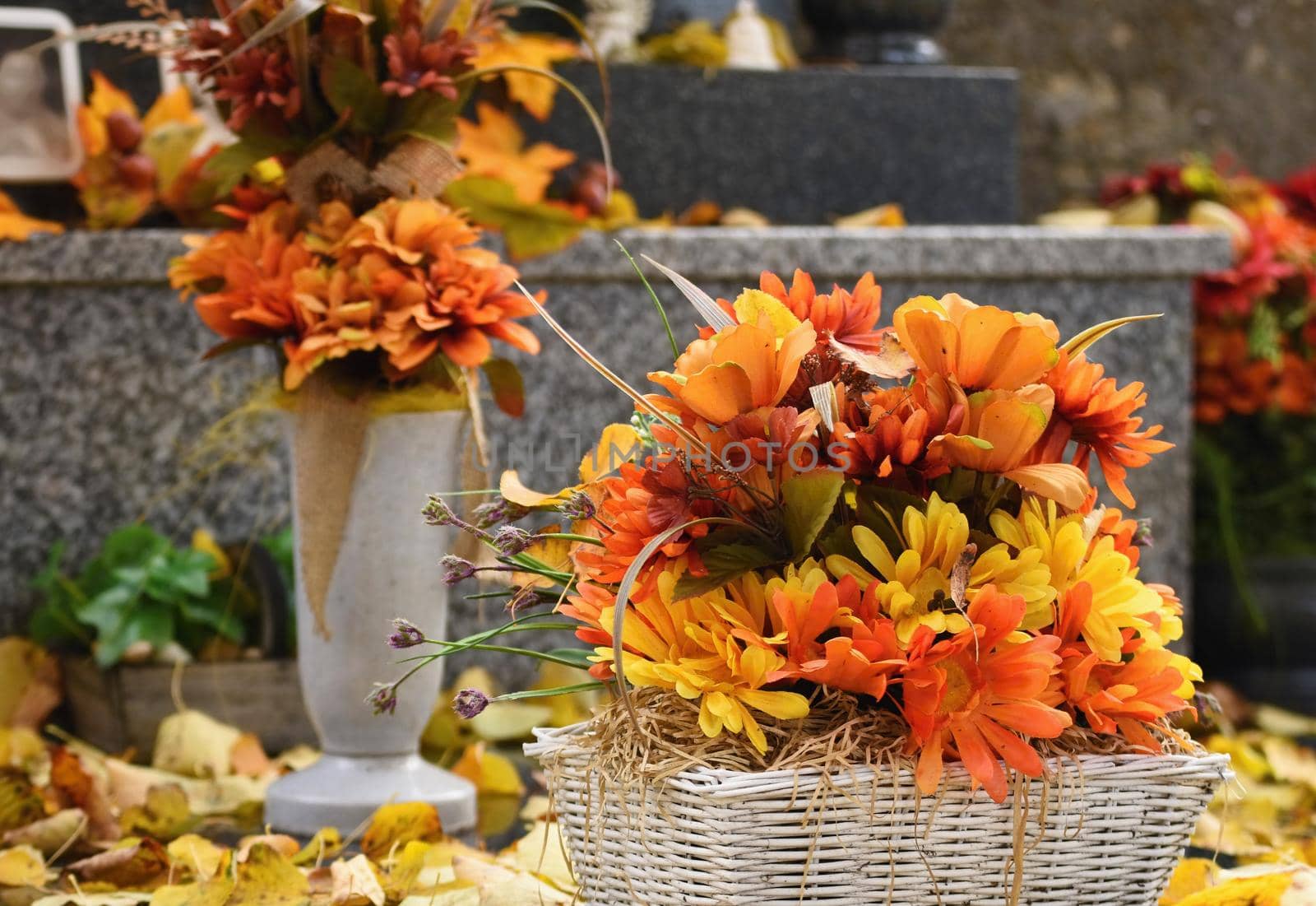 Autumn nature concept. Beautiful autumn decorations. Colorful autumn flowers at the cemetery - Halloween. by Montypeter