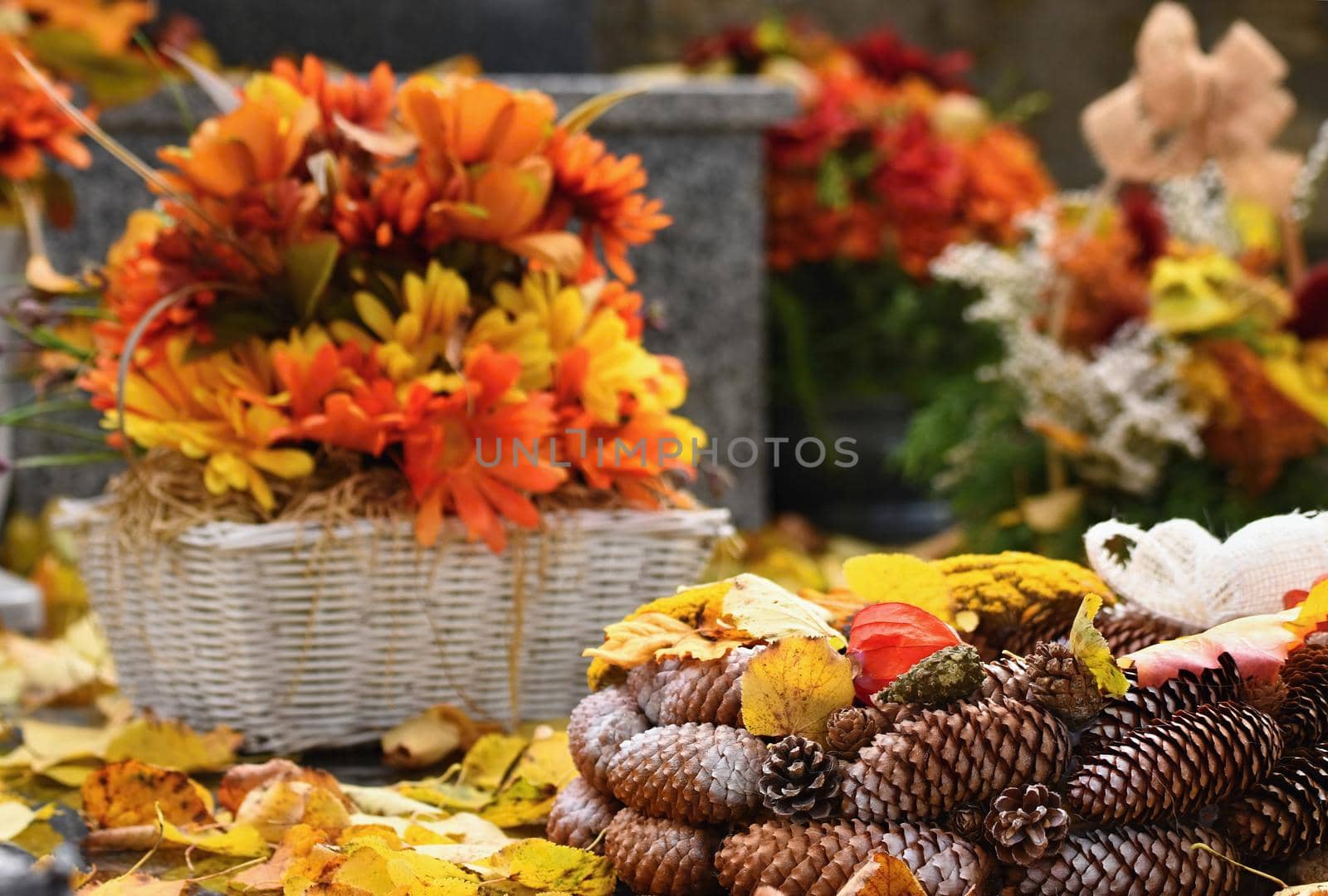 Autumn nature concept.Beautiful autumn decorations. Colorful autumn flowers at the cemetery - Halloween. by Montypeter