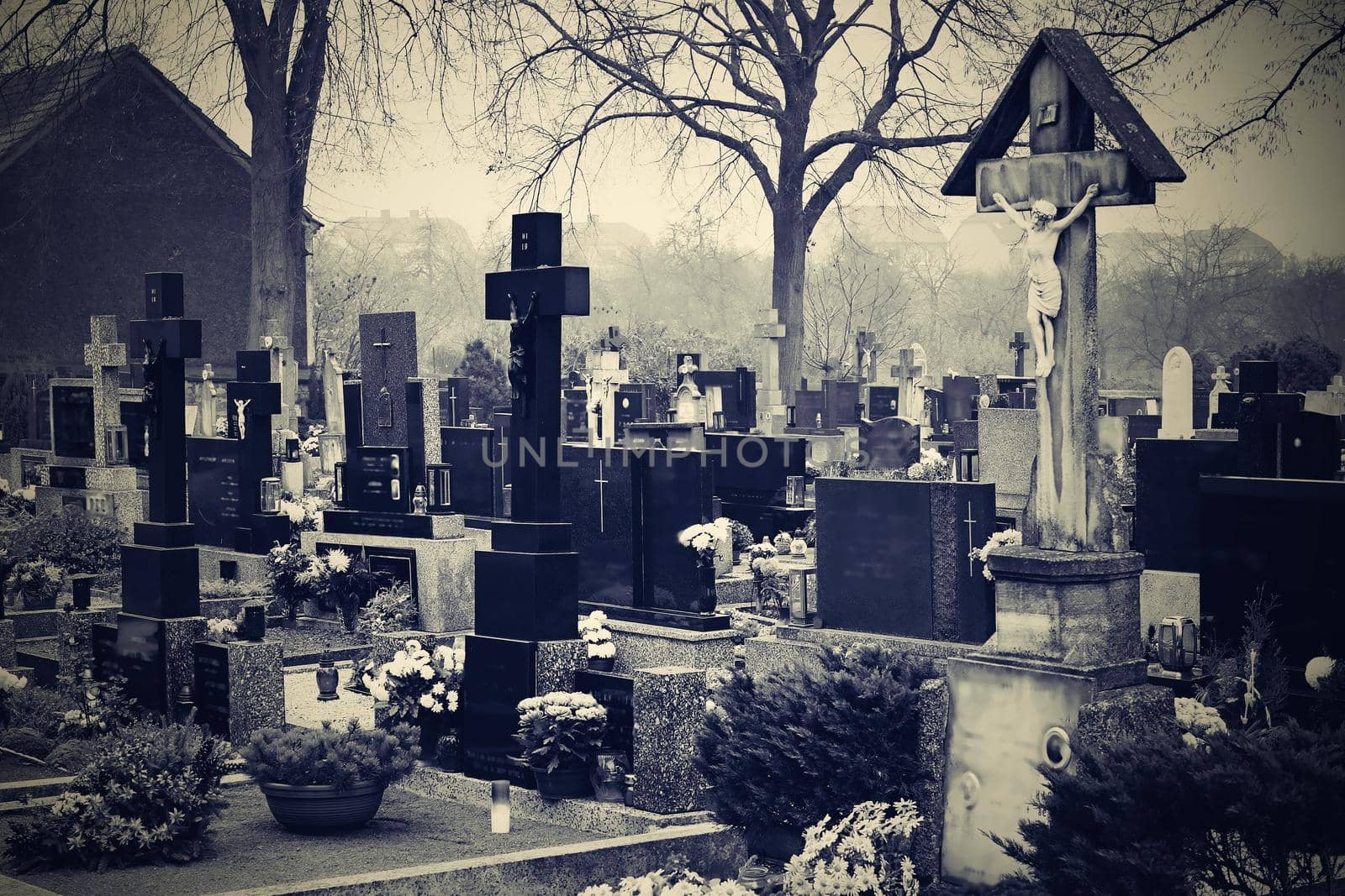 Cemetery blurred background. Halloween