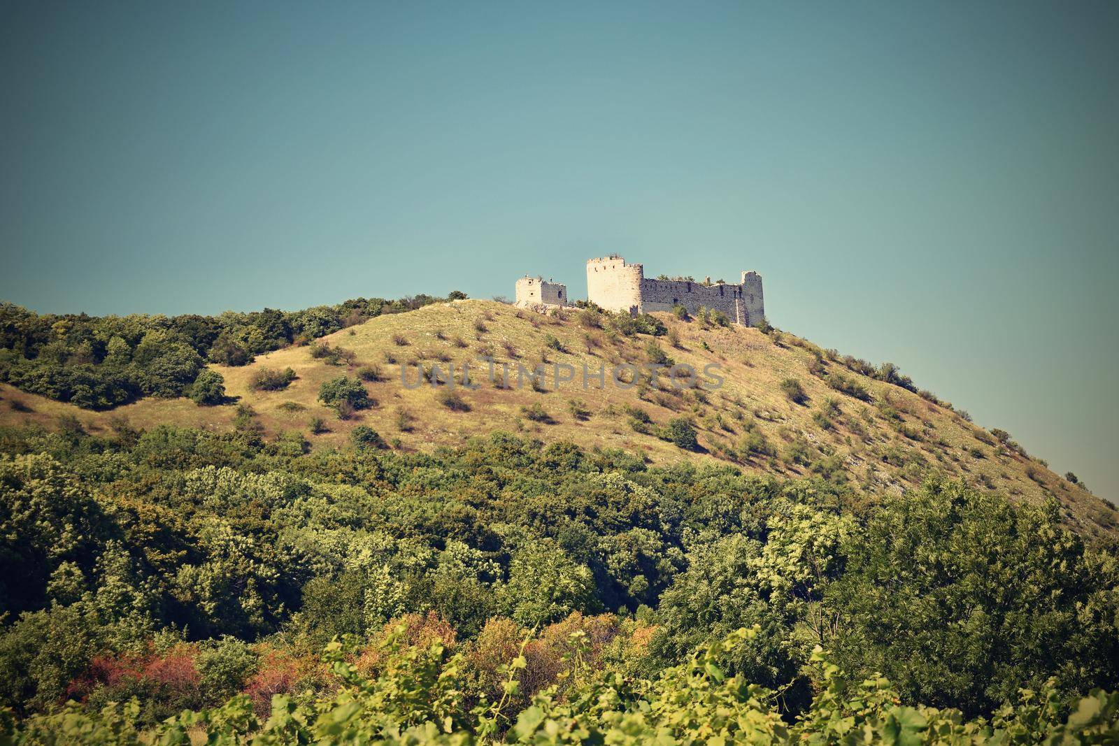 Castle Devicky - Pavlov.Vineyards under Palava. Czech Republic - South Moravian Region wine region. by Montypeter