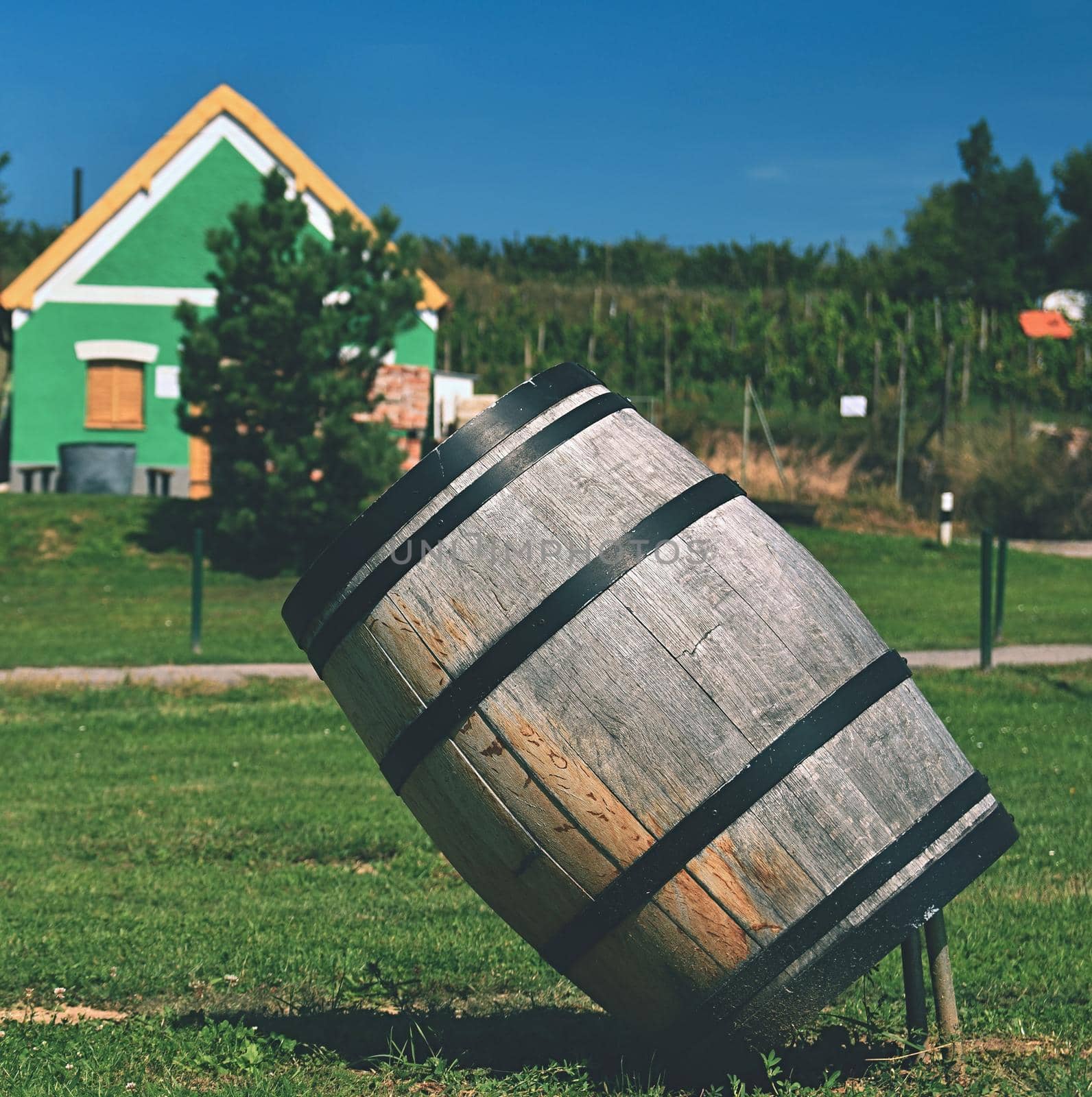 Wine region, south Moravia - Czech Republic.