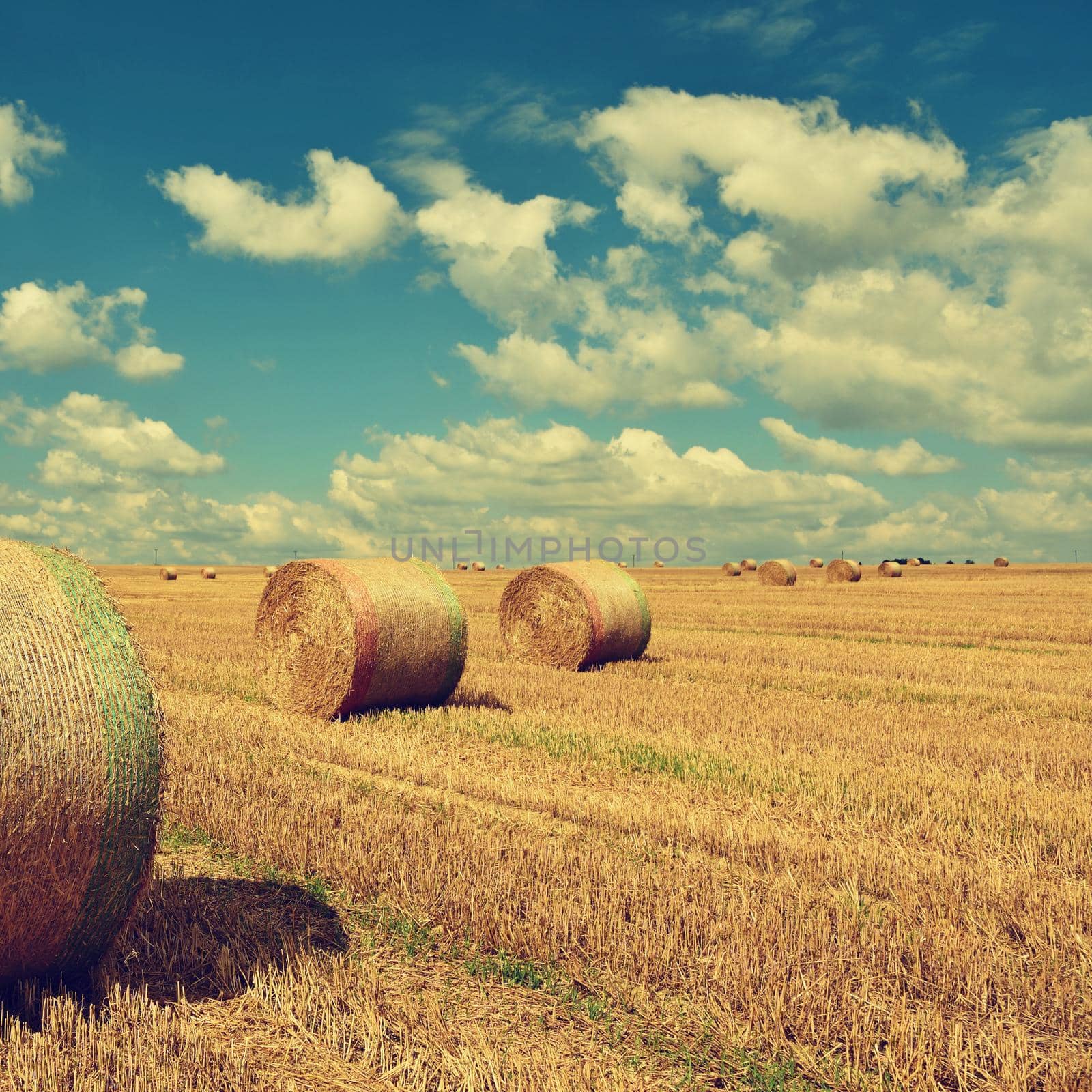 Beautiful countryside landscape. Hay bales in harvested fields. Czech Republic - Europe. Agricultural background - harvest. by Montypeter