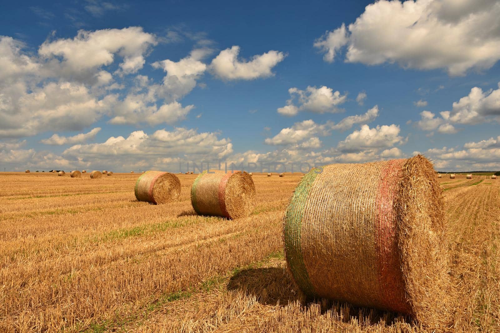 Beautiful countryside landscape. Hay bales in harvested fields. Czech Republic - Europe. Agricultural background - harvest. by Montypeter