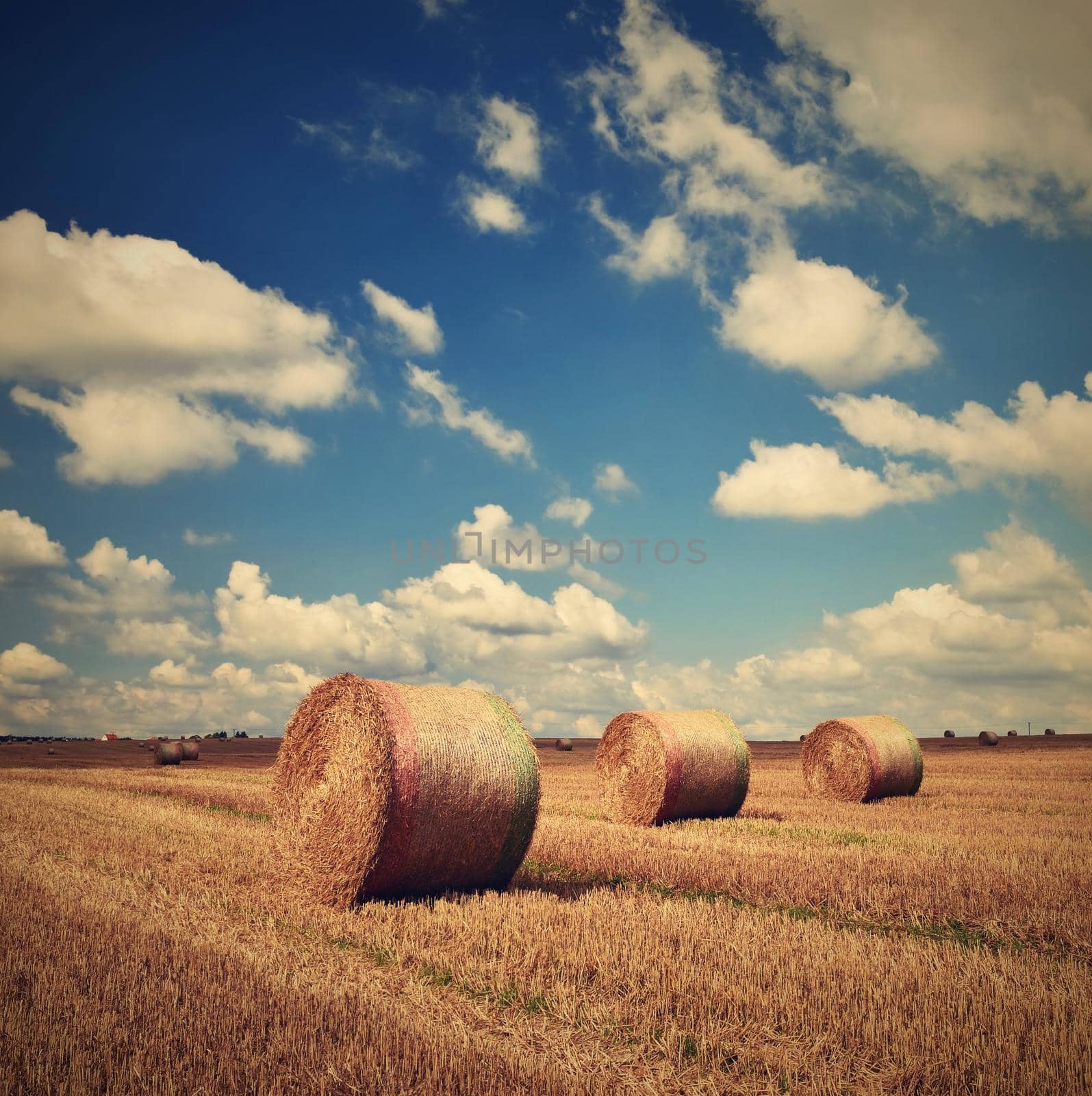 Beautiful countryside landscape. Hay bales in harvested fields. Czech Republic - Europe. Agricultural background - harvest. by Montypeter