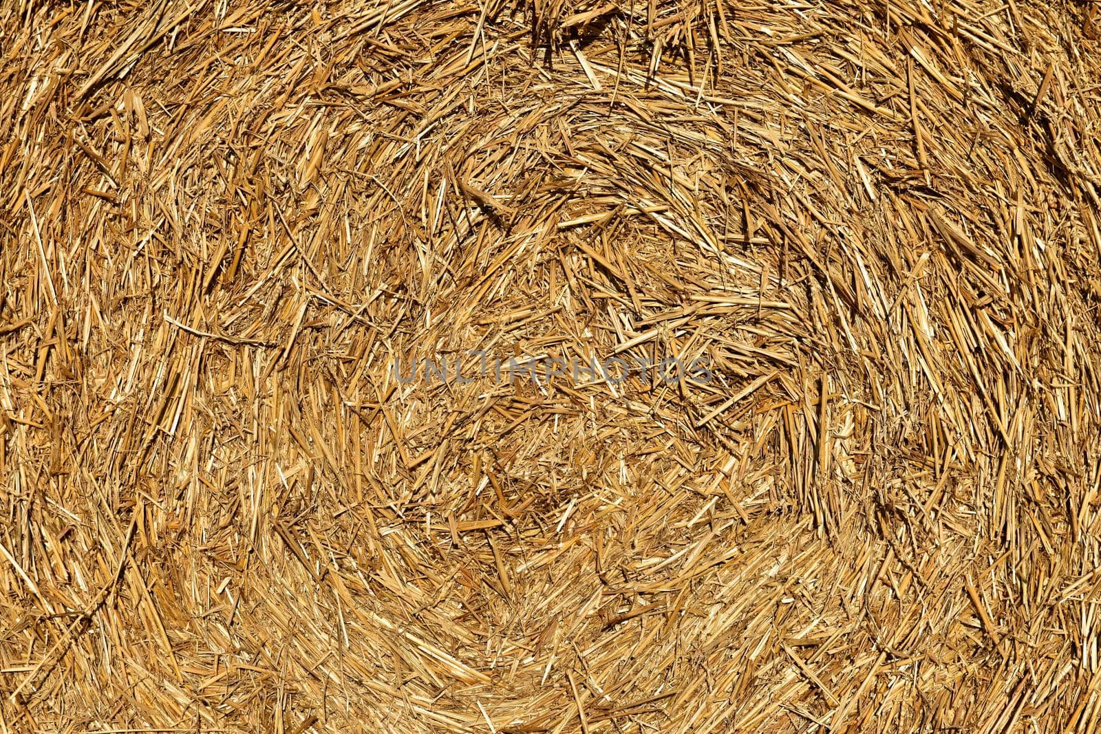 Beautiful countryside landscape. Hay bales in harvested fields. 