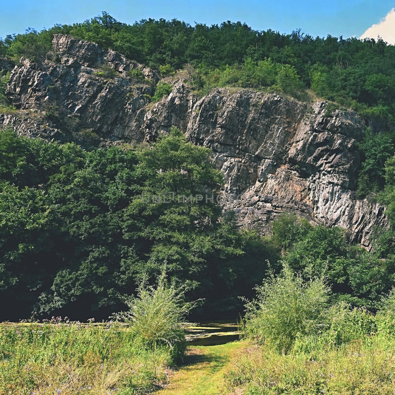 Beautiful natural background with rock and woods in the valley. by Montypeter