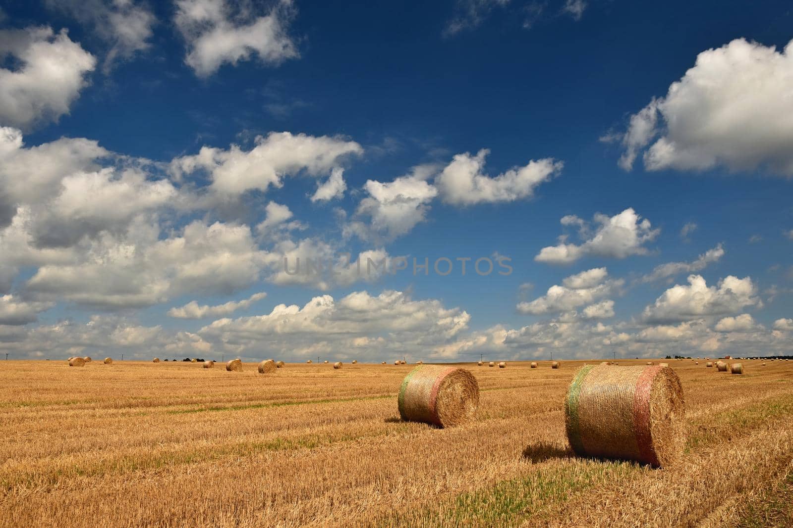 Hay bail harvesting in golden field landscape. Summer Farm Scenery with Haystack on the background of Beautiful Sunset. by Montypeter