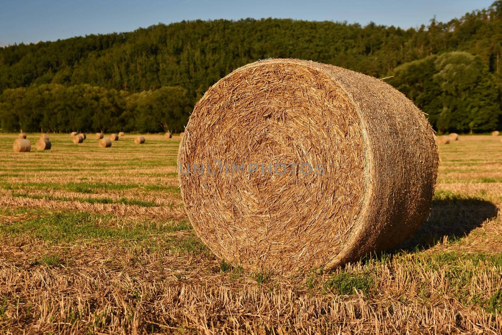 Hay bail harvesting in golden field landscape. Summer Farm Scenery with Haystack on the Background of Beautiful Sunset.