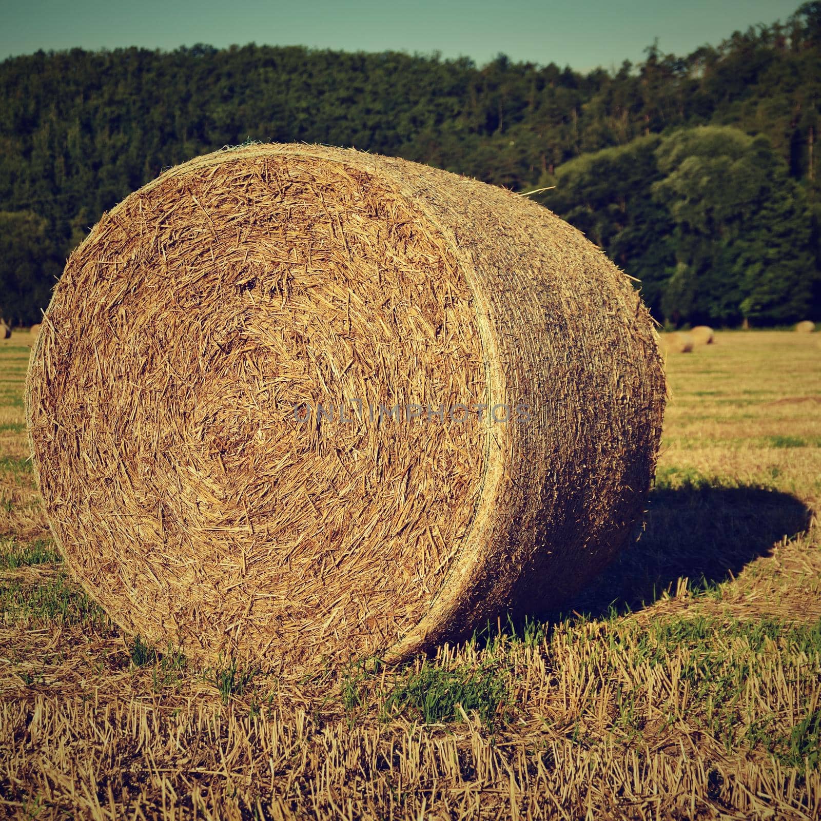 Hay bail harvesting in golden field landscape. Summer Farm Scenery with Haystack on the Background of Beautiful Sunset.