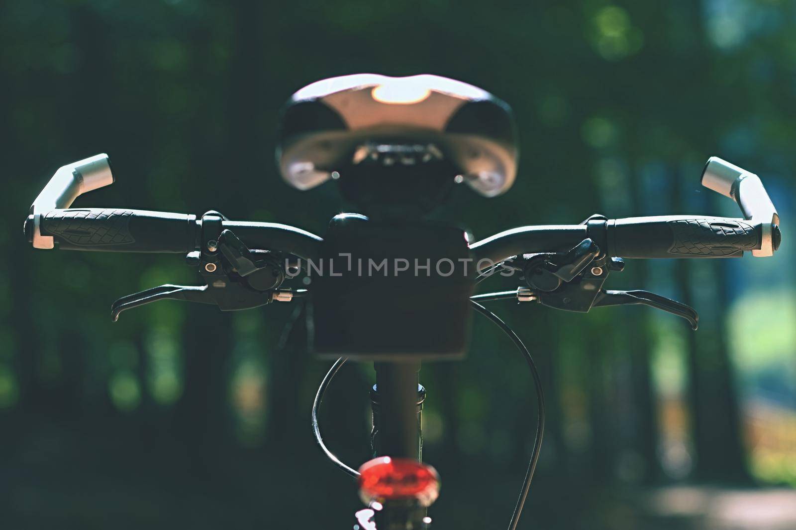 Mountain bike in the woods. Sport in nature. by Montypeter