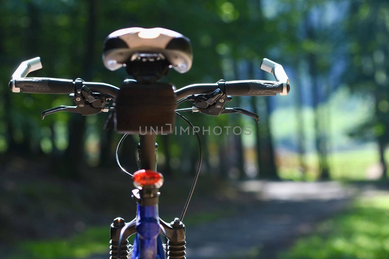 Mountain bike in the woods. Sport in nature.