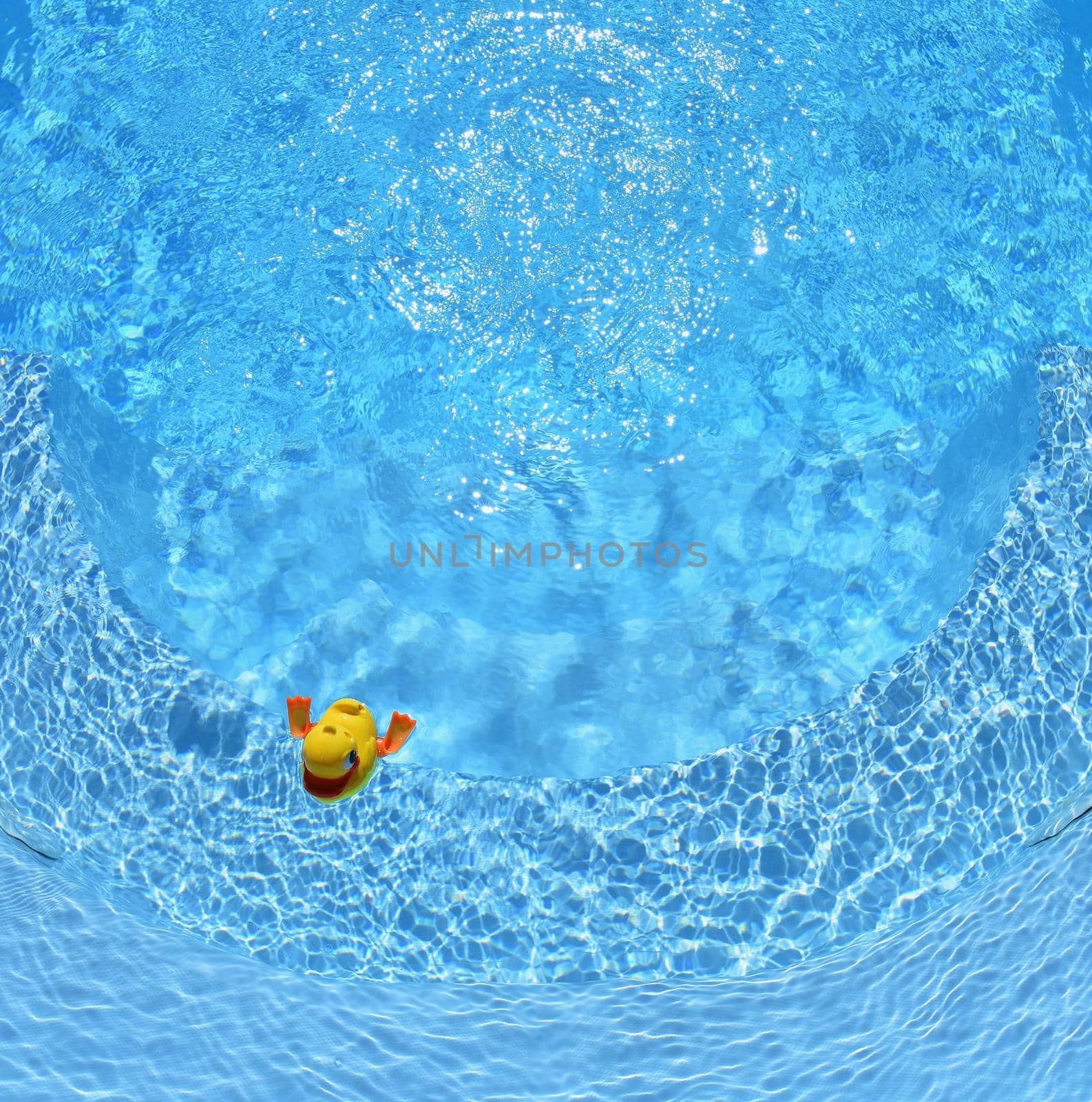 Yellow Rubber Duck. Yellow rubber duck in the home pool in the summer by Montypeter