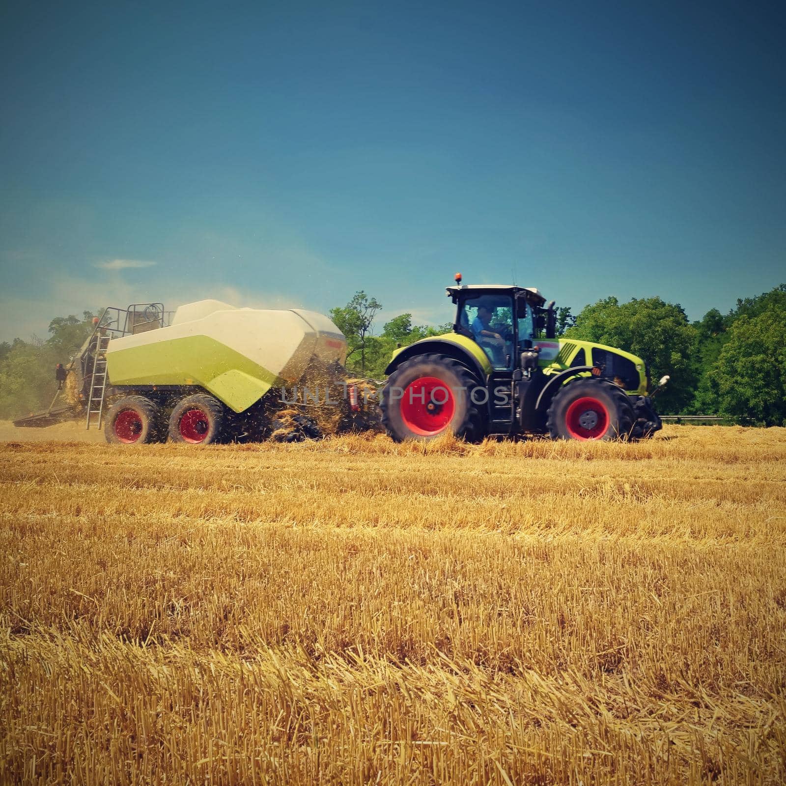 Harvester agriculture machine harvesting golden ripe corn field. Tractor - hay and straw,  traditional summer background with an industrial theme. by Montypeter