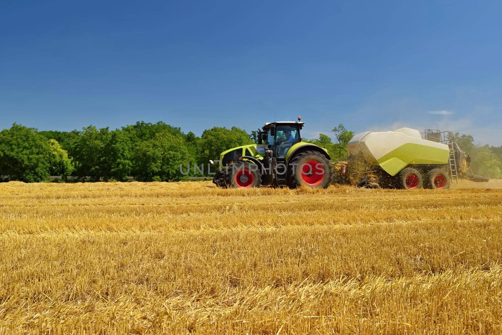 Harvester agriculture machine harvesting golden ripe corn field. Tractor - traditional summer background with an industrial theme.