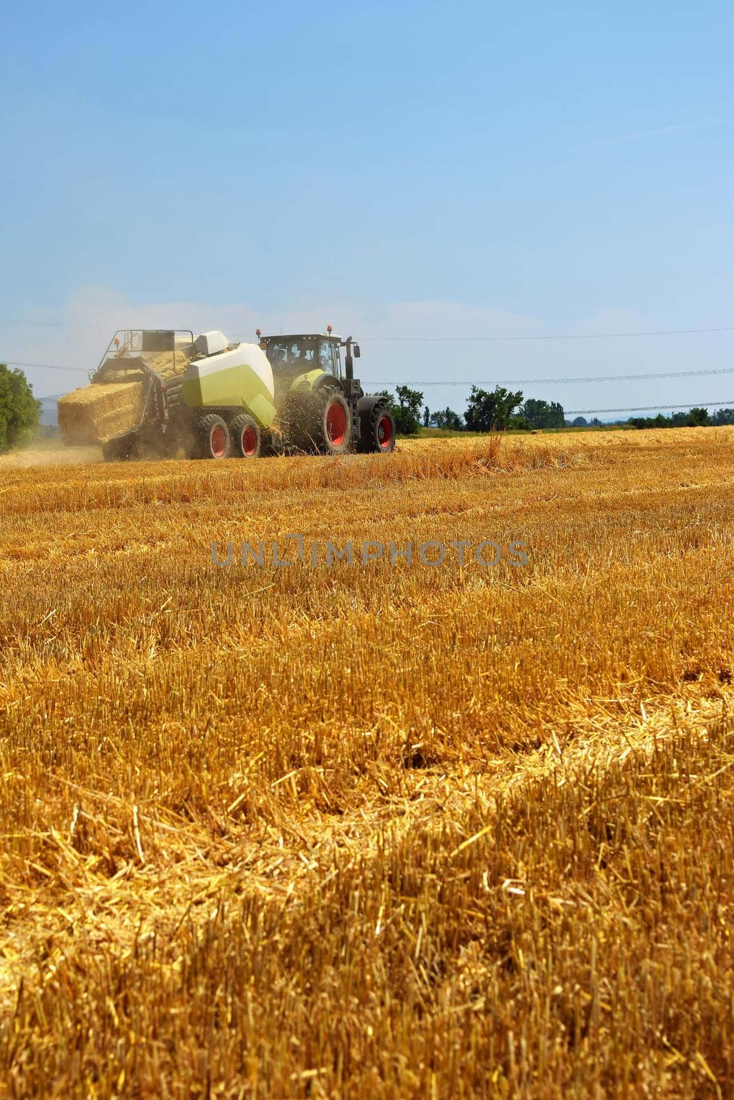 Harvester agriculture machine harvesting golden ripe corn field. Tractor - hay and straw,  traditional summer background with an industrial theme. by Montypeter