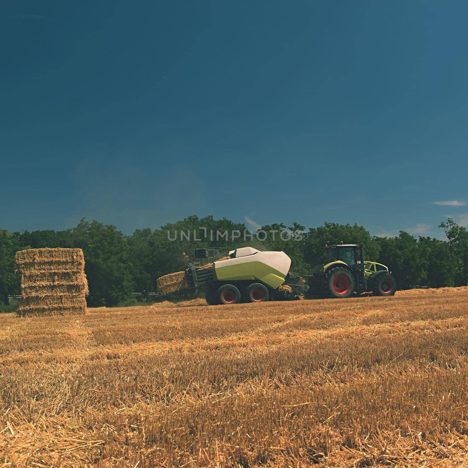 Harvester agriculture machine harvesting golden ripe corn field. Tractor - hay and straw,  traditional summer background with an industrial theme. by Montypeter