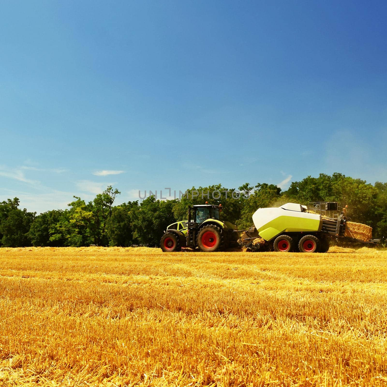 Harvester agriculture machine harvesting golden ripe corn field. Tractor - hay and straw,  traditional summer background with an industrial theme. by Montypeter