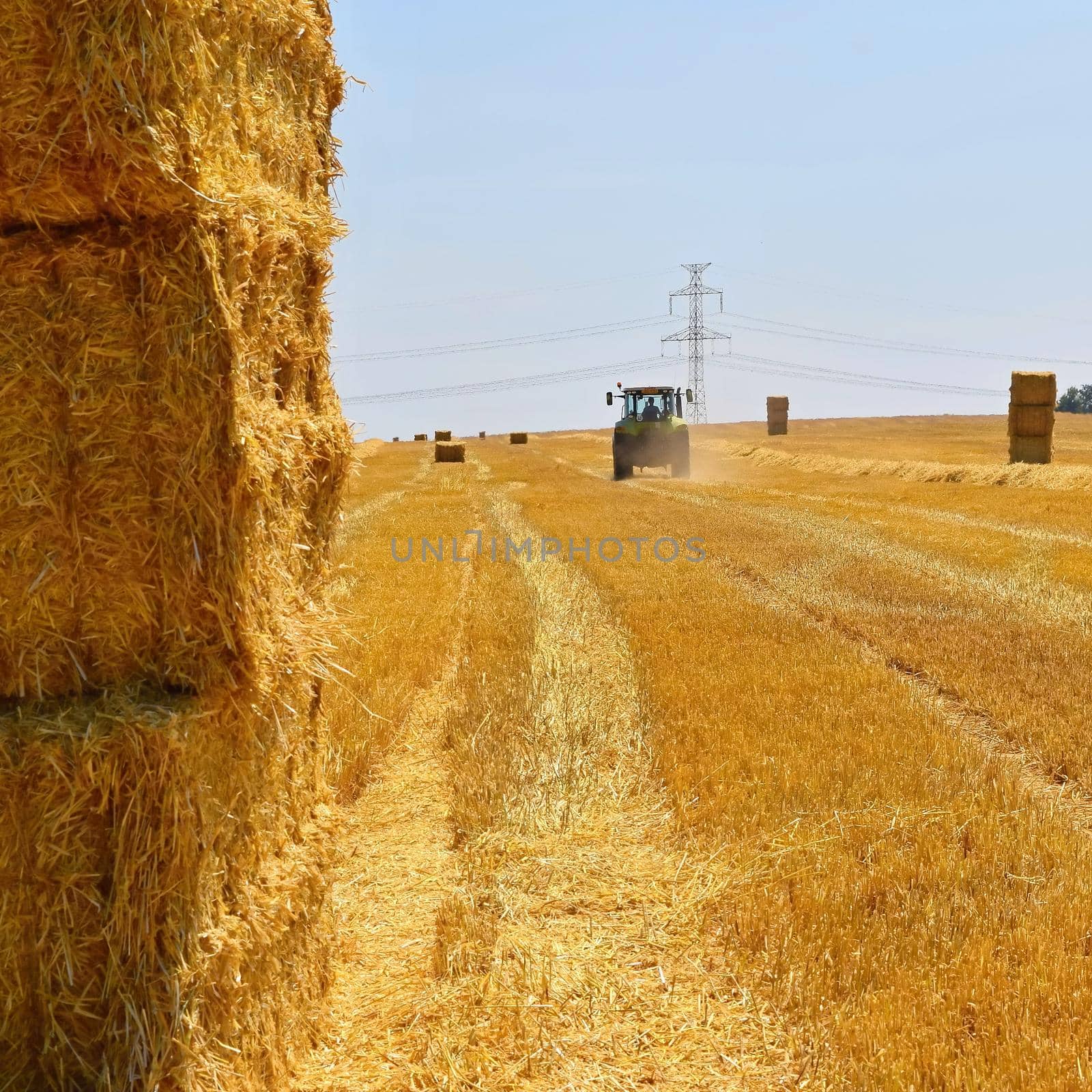 Harvester agriculture machine harvesting golden ripe corn field. Tractor - traditional summer background with an industrial theme.