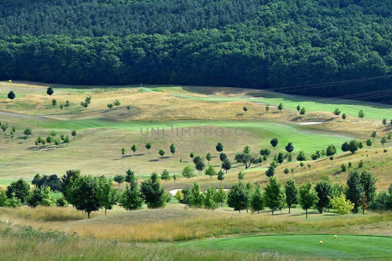 Green golf course. 