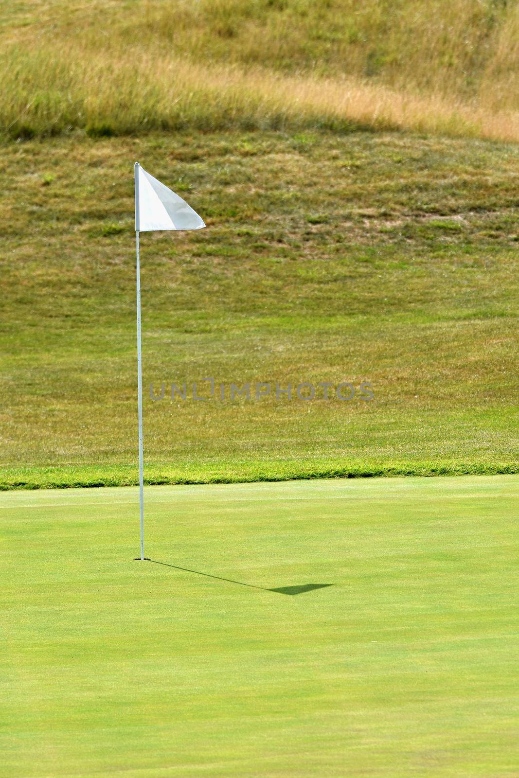 Nice golf course on a sunny summer day. Hole with a flag. Sport.