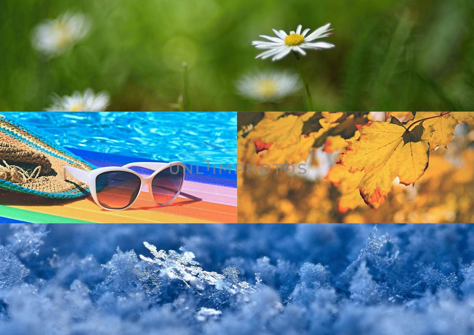 Photo for four seasons in nature. Spring Summer Autumn Winter.