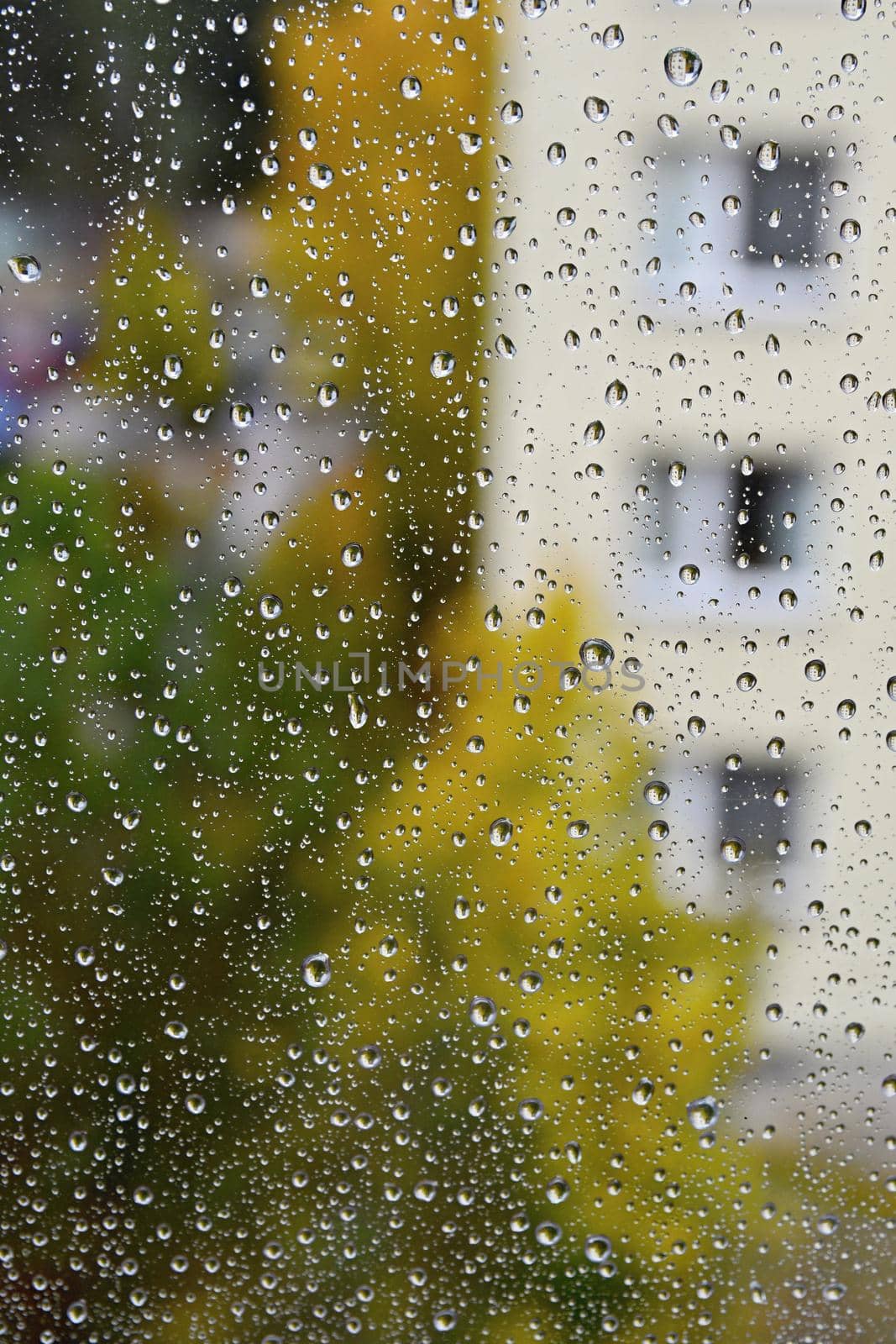 Rain. Autumn seasonal background with rain drops on the window. by Montypeter