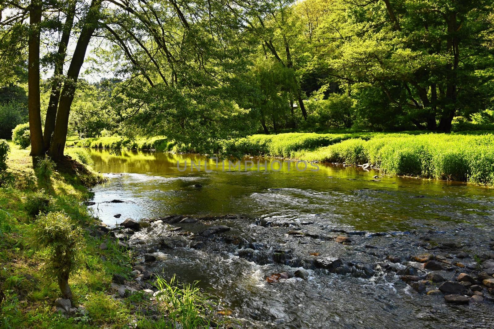 Oslava river. Beautiful landscape. Natural scenery with sky and clouds. Czech Republic, Europe. by Montypeter