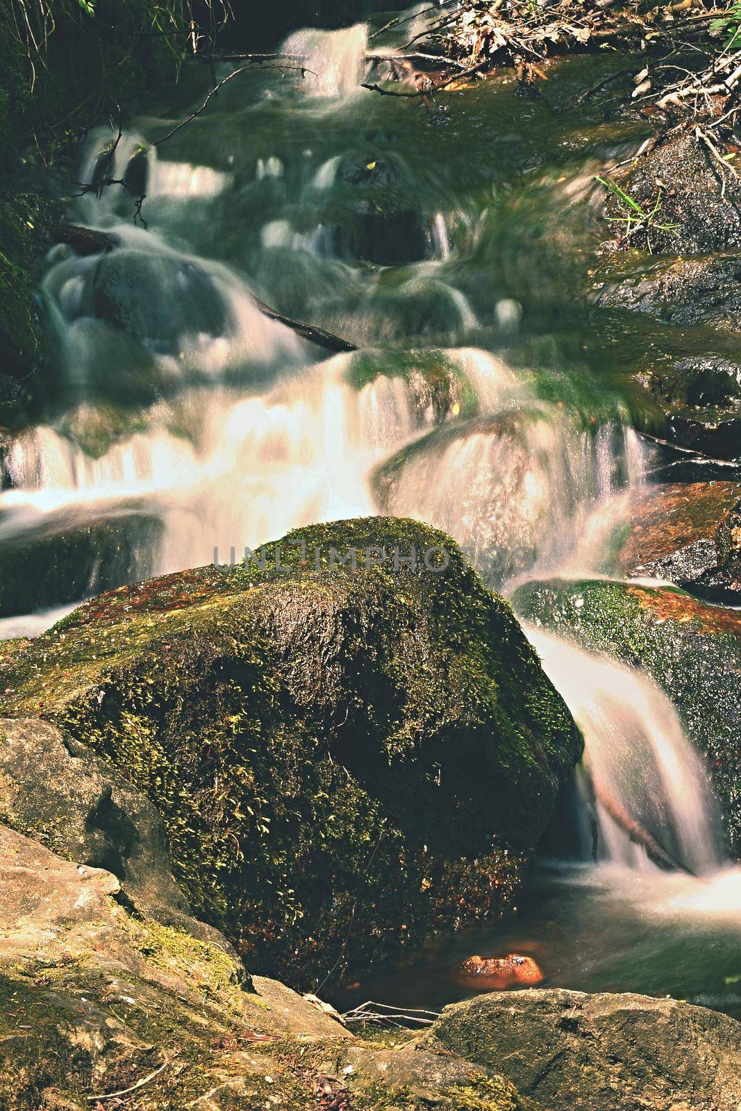 Beautiful nature with a river of rocks and forest. Outdoor colorful background with water. by Montypeter