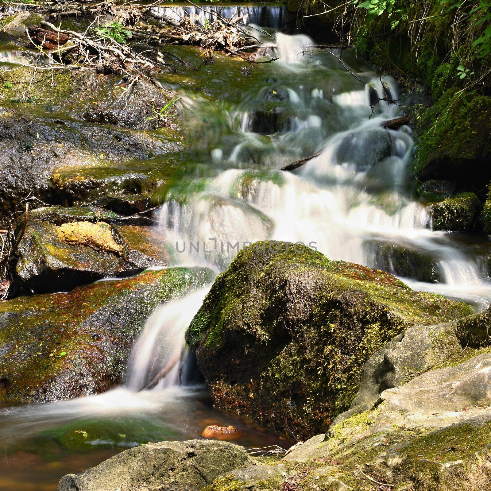 Beautiful nature with a river of rocks and forest. Outdoor colorful background with water. by Montypeter