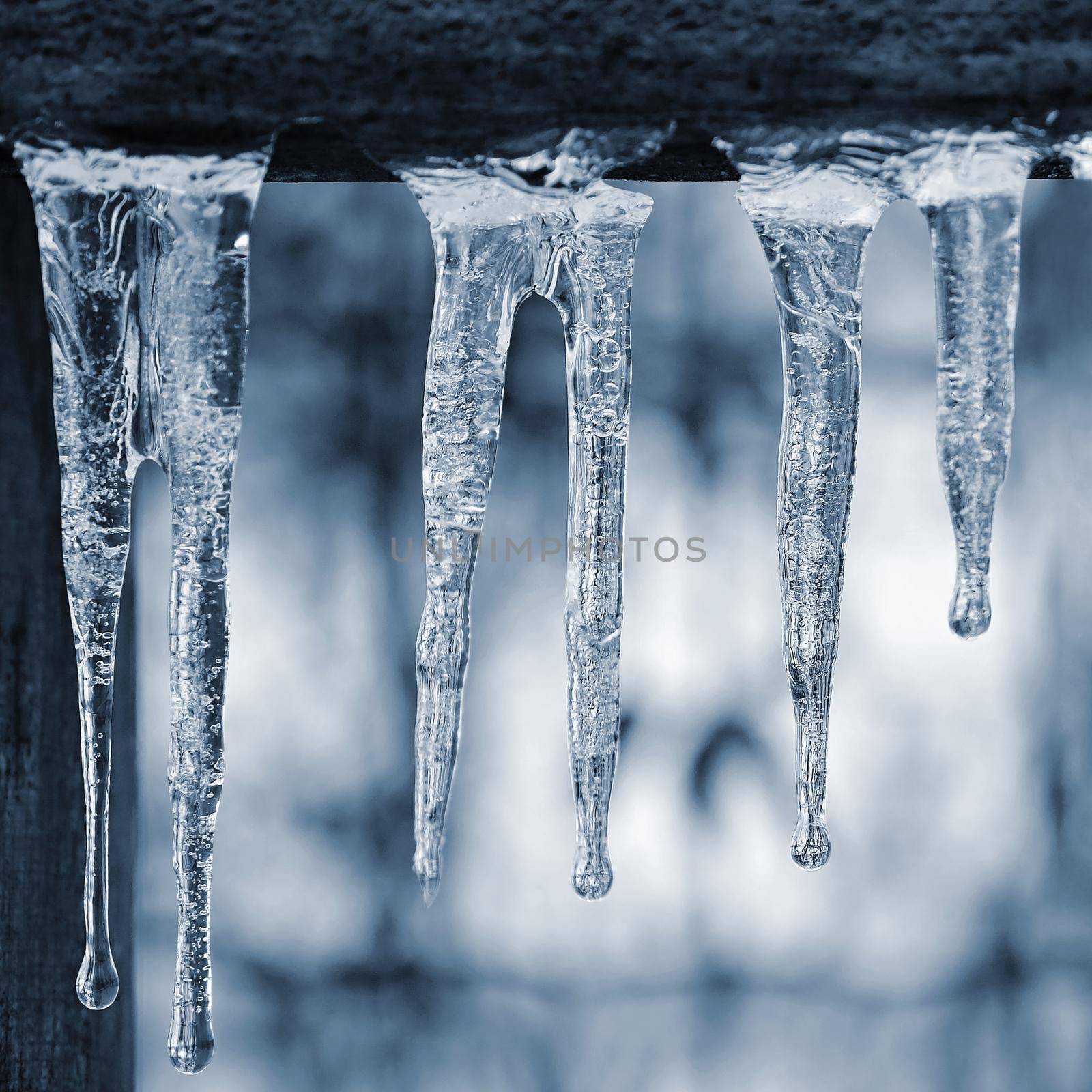 Beautiful icicles in winter. Concept for winter and frost. by Montypeter