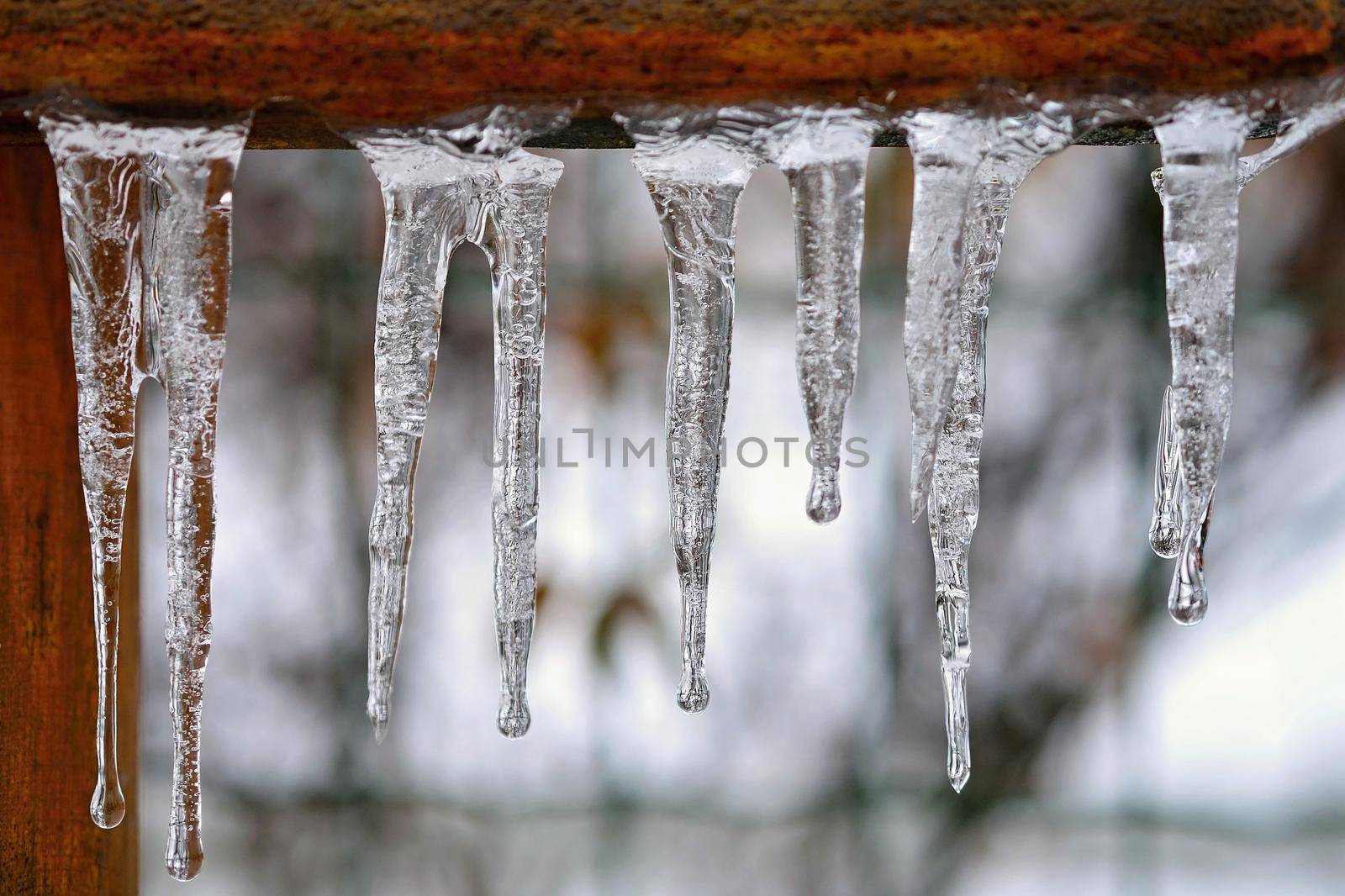 Beautiful icicles in winter. Concept for winter and frost. by Montypeter