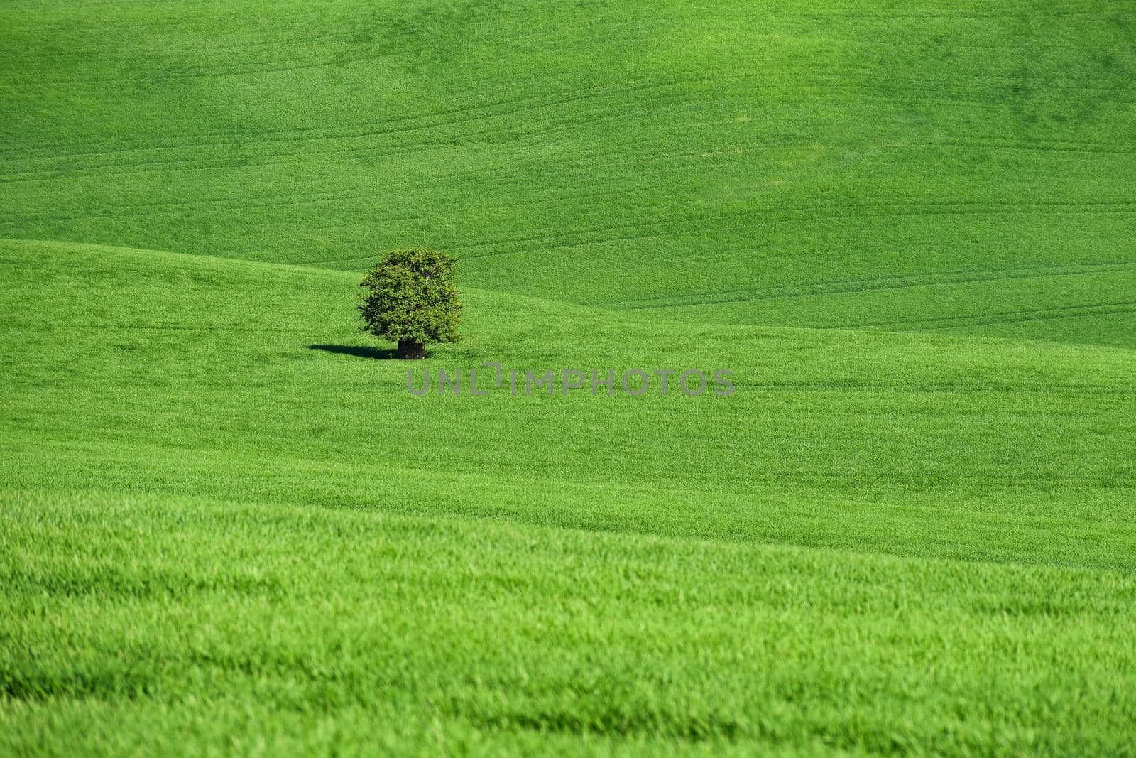 Moravian Tuscany – beautiful spring landscape in south Moravia near Kyjov town. Czech Republic - Europe.