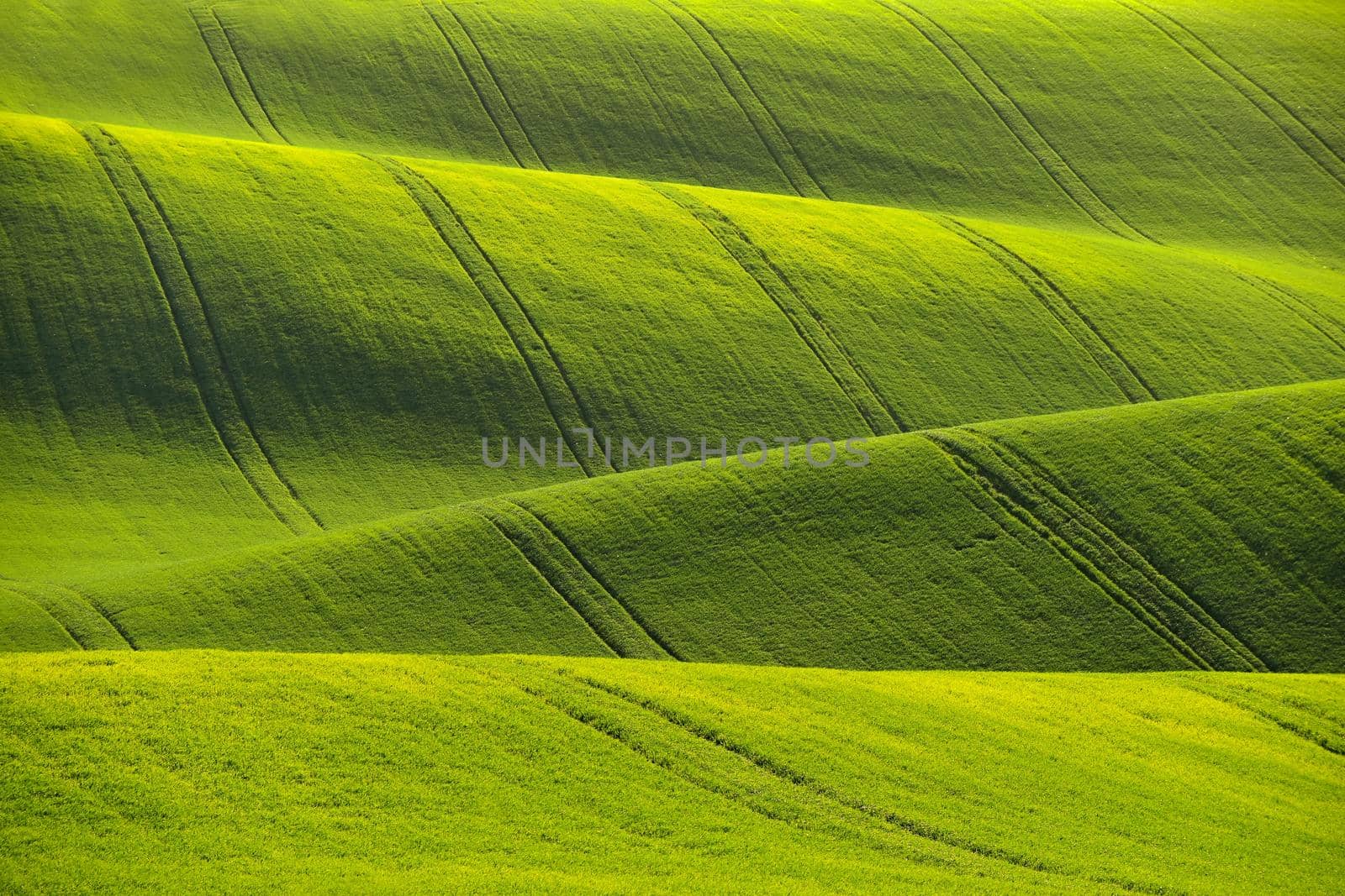 Moravian Tuscany – beautiful spring landscape in south Moravia near Kyjov town. Czech Republic - Europe. by Montypeter