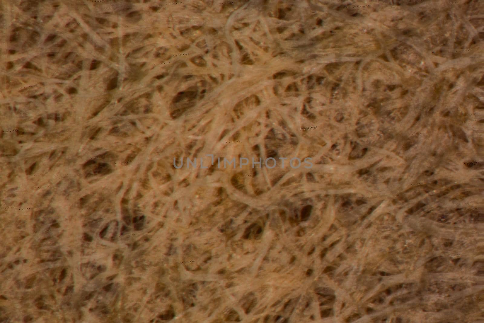 Coffee filter with fibers and paper pores under the microscope