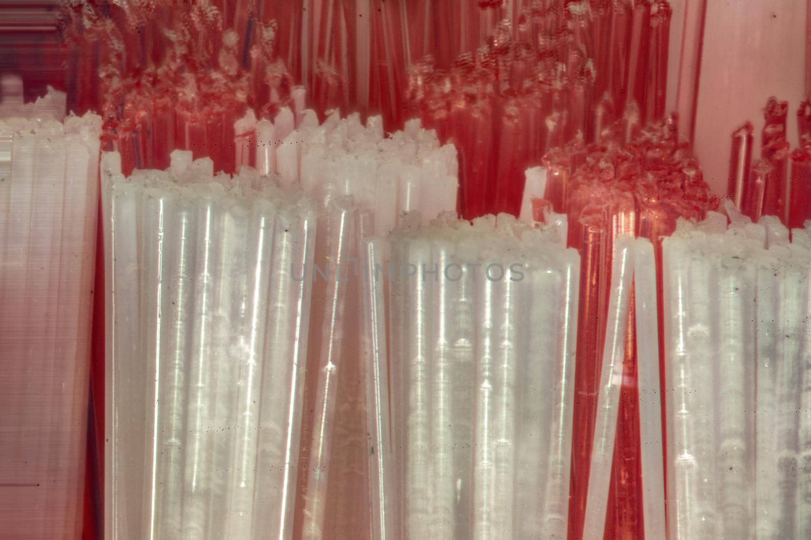 red white round bristles of a toothbrush