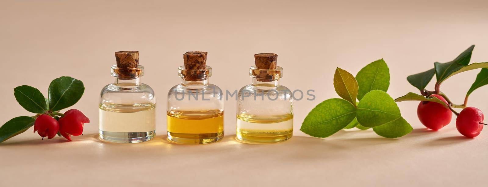 Panoramic banner of essential oil bottles with fresh wintergreen or Gaultheria procumbens plant on pastel orange background