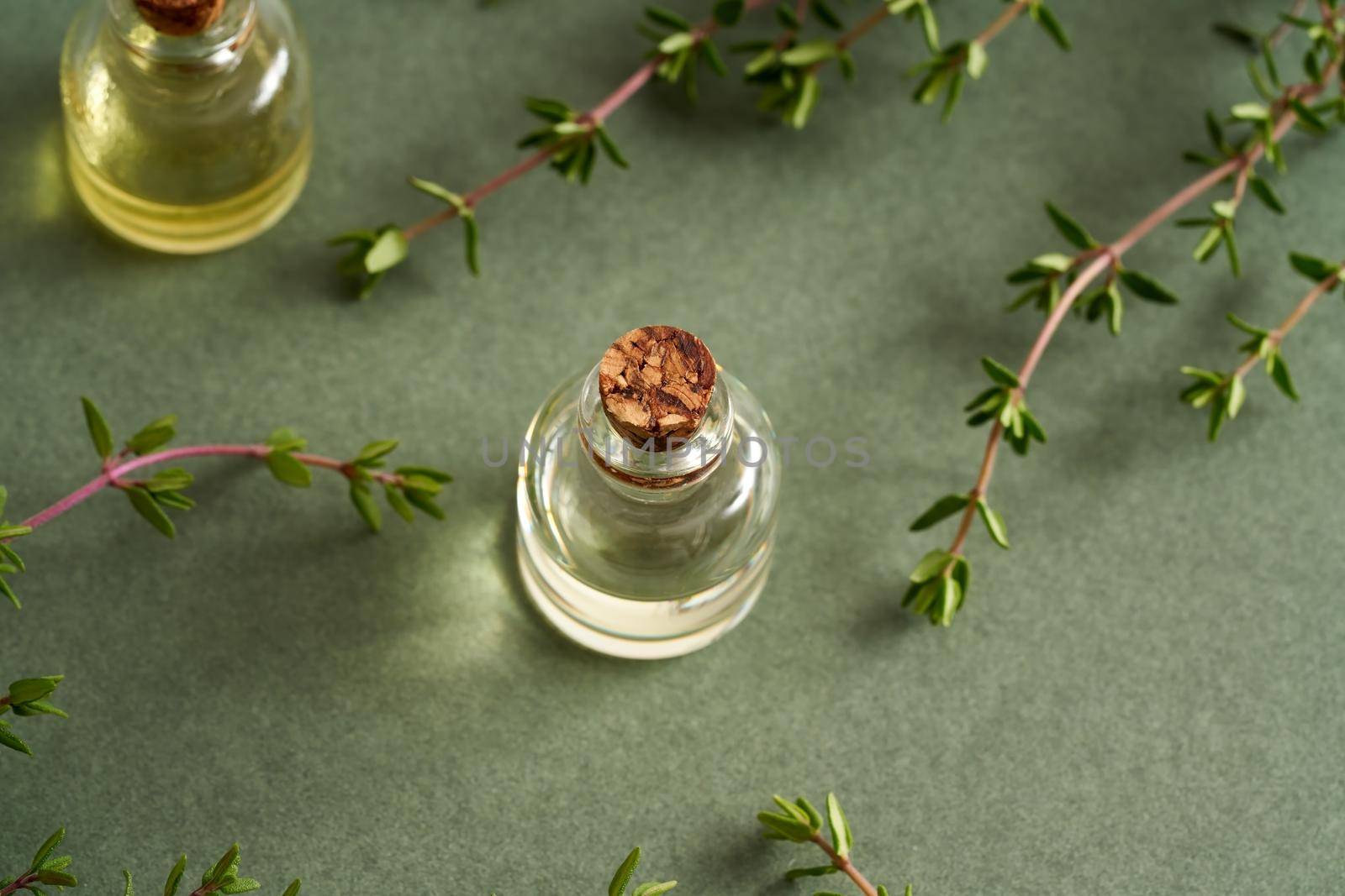 A bottle of essential oil with fresh thyme on a green background