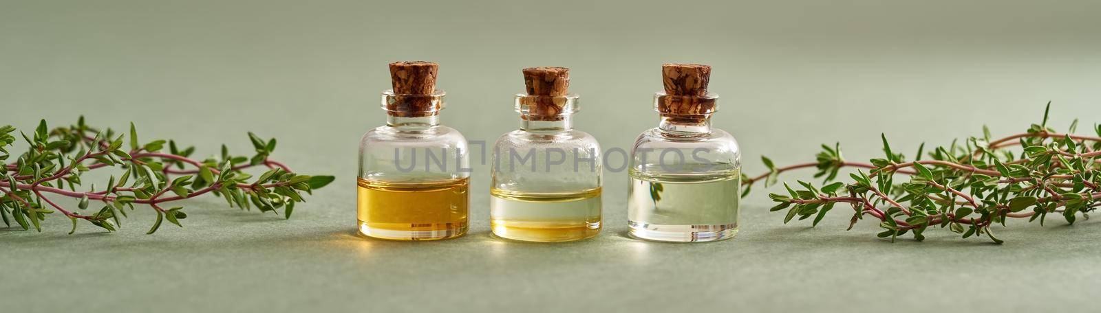 Panoramic banner of three bottles of essential oil with fresh thyme twigs on green background by madeleine_steinbach