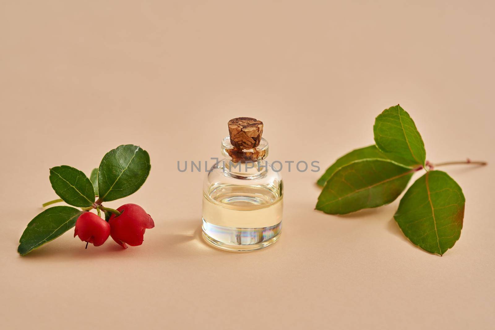 A bottle of wintergreen essential oil with wintergreen twigs on a white background by madeleine_steinbach