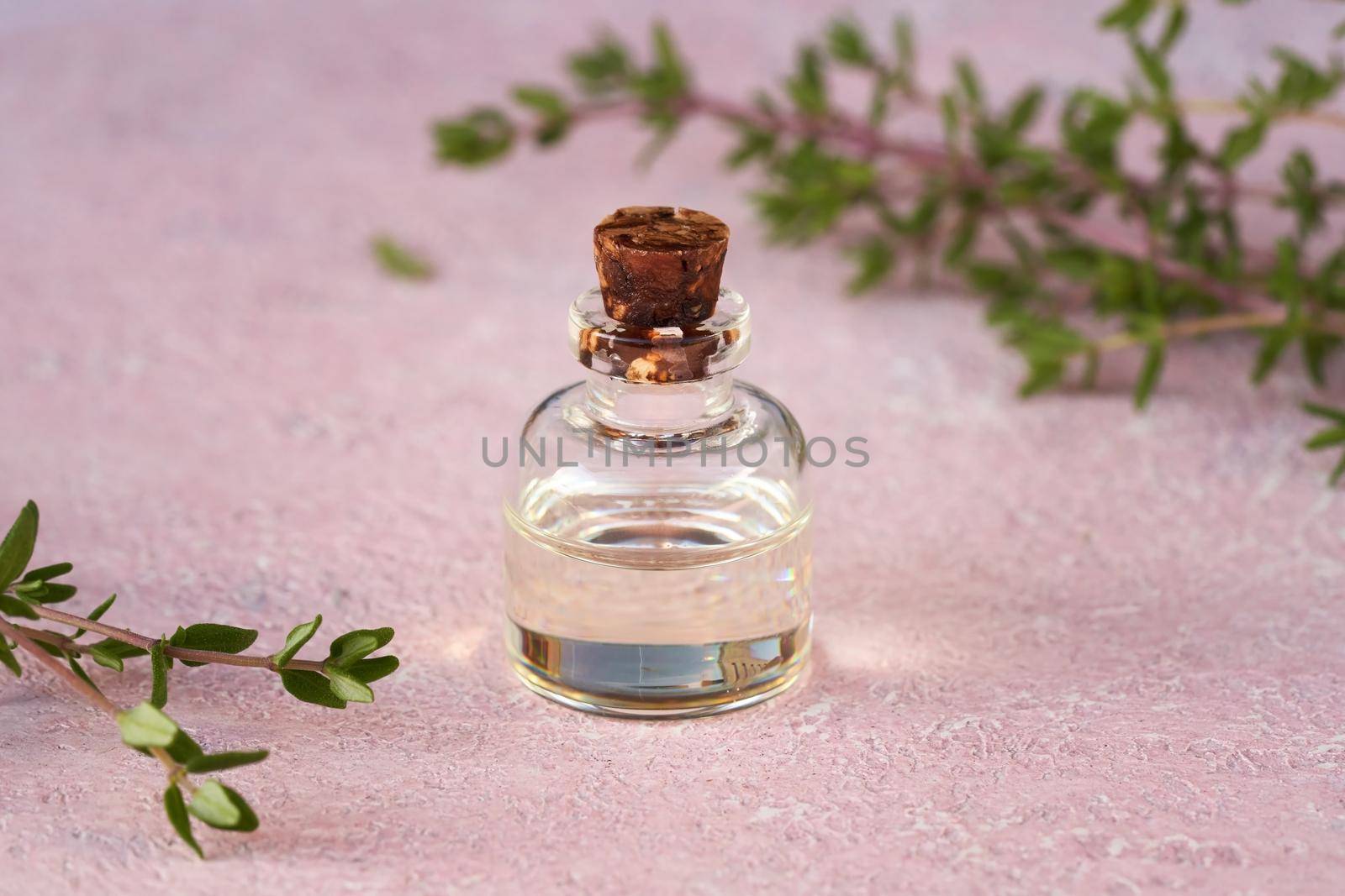 Essential oil bottle with green thyme twigs on pastel pink background