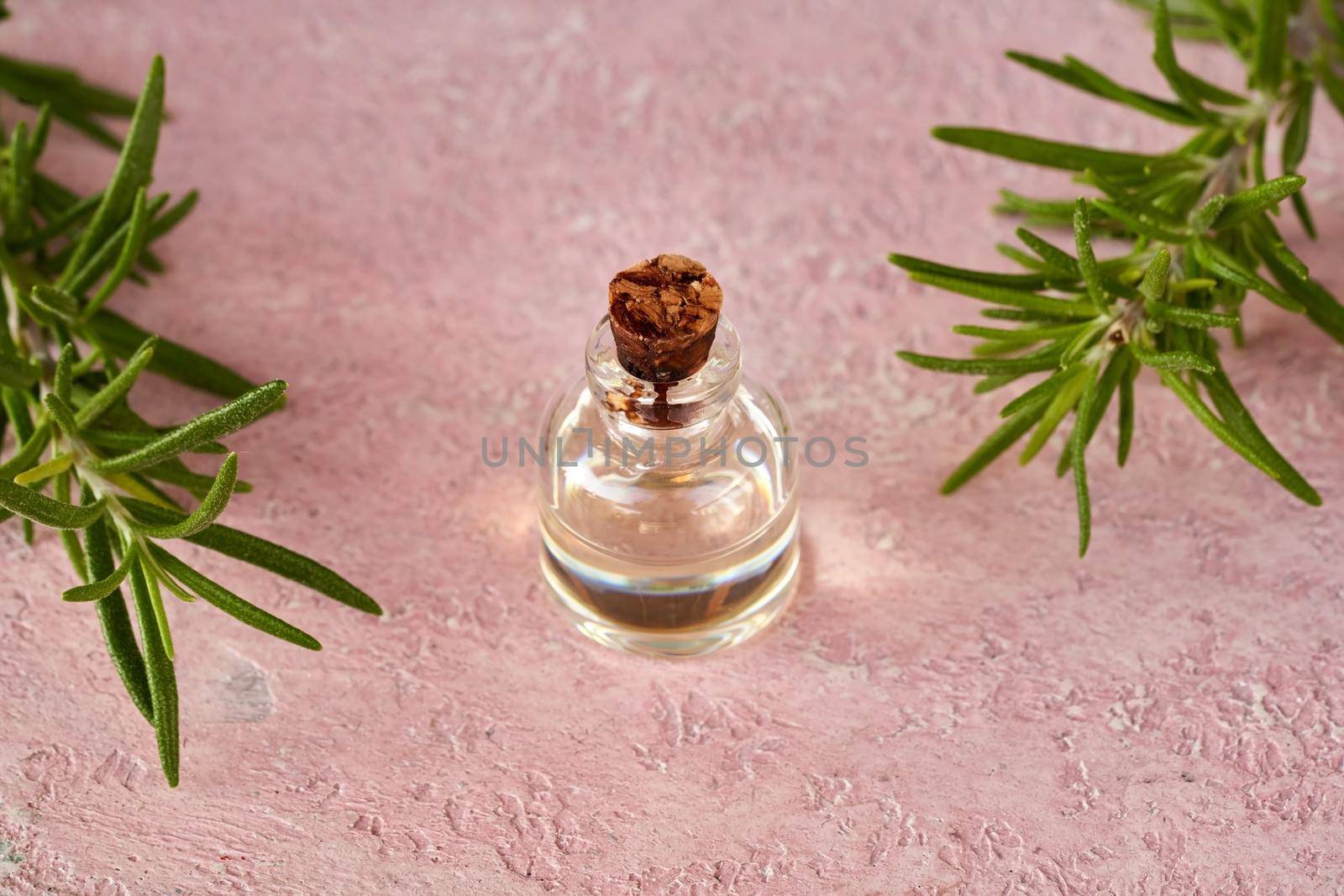 A bottle of essential oil with fresh rosemary itwigs on pink background